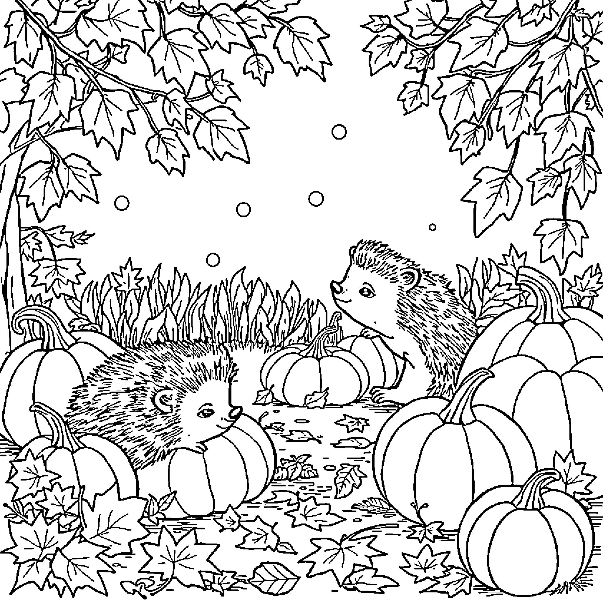 Hedgehogs exploring pumpkins in the autumn leaves Coloring Page (free black-and-white line drawing printable PDF for all, from beginners to advanced learners, including children, teens, adults, and seniors)