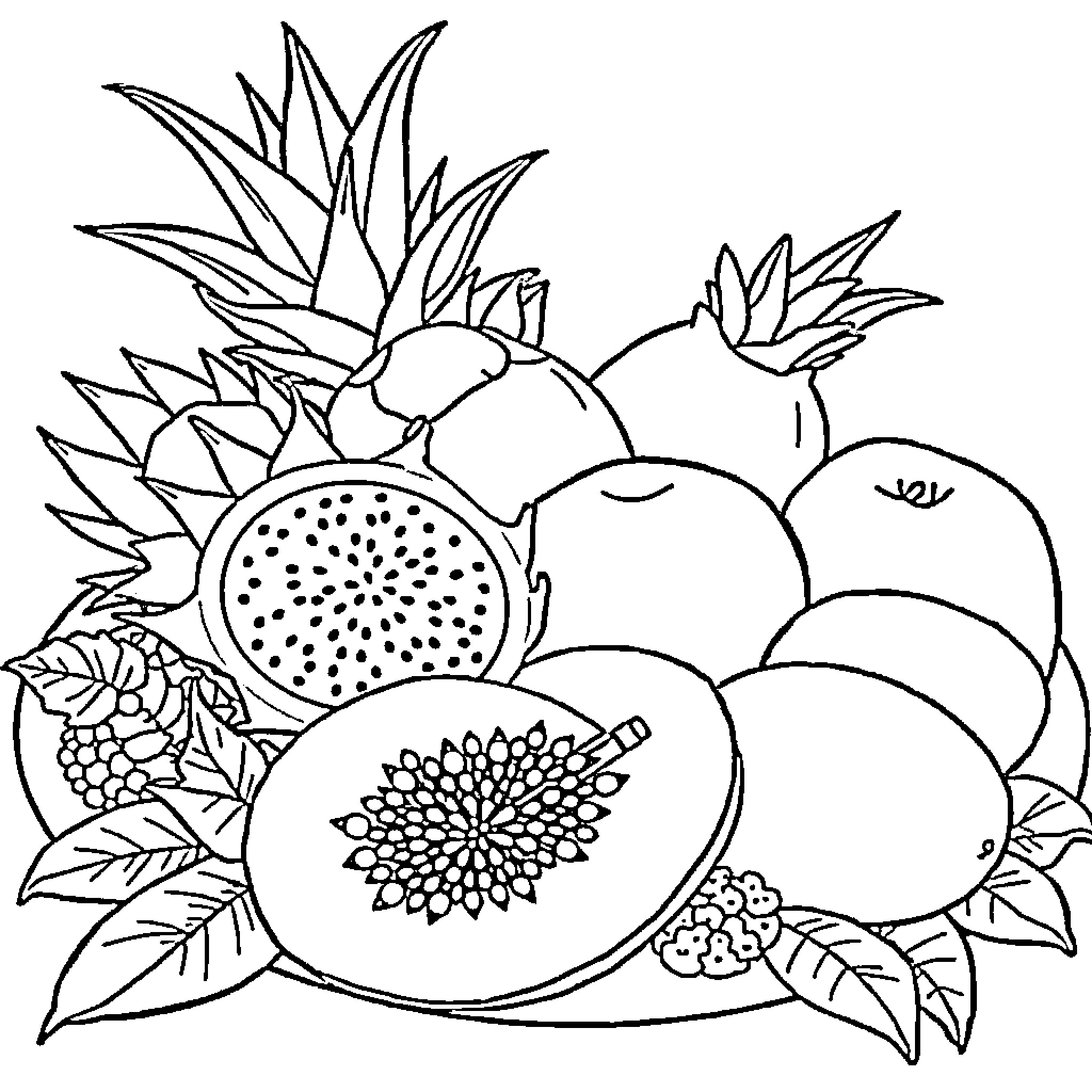 Fruit Arrangement in Monochrome Coloring Page (free black-and-white line drawing printable PDF for all, from beginners to advanced learners, including children, teens, adults, and seniors)