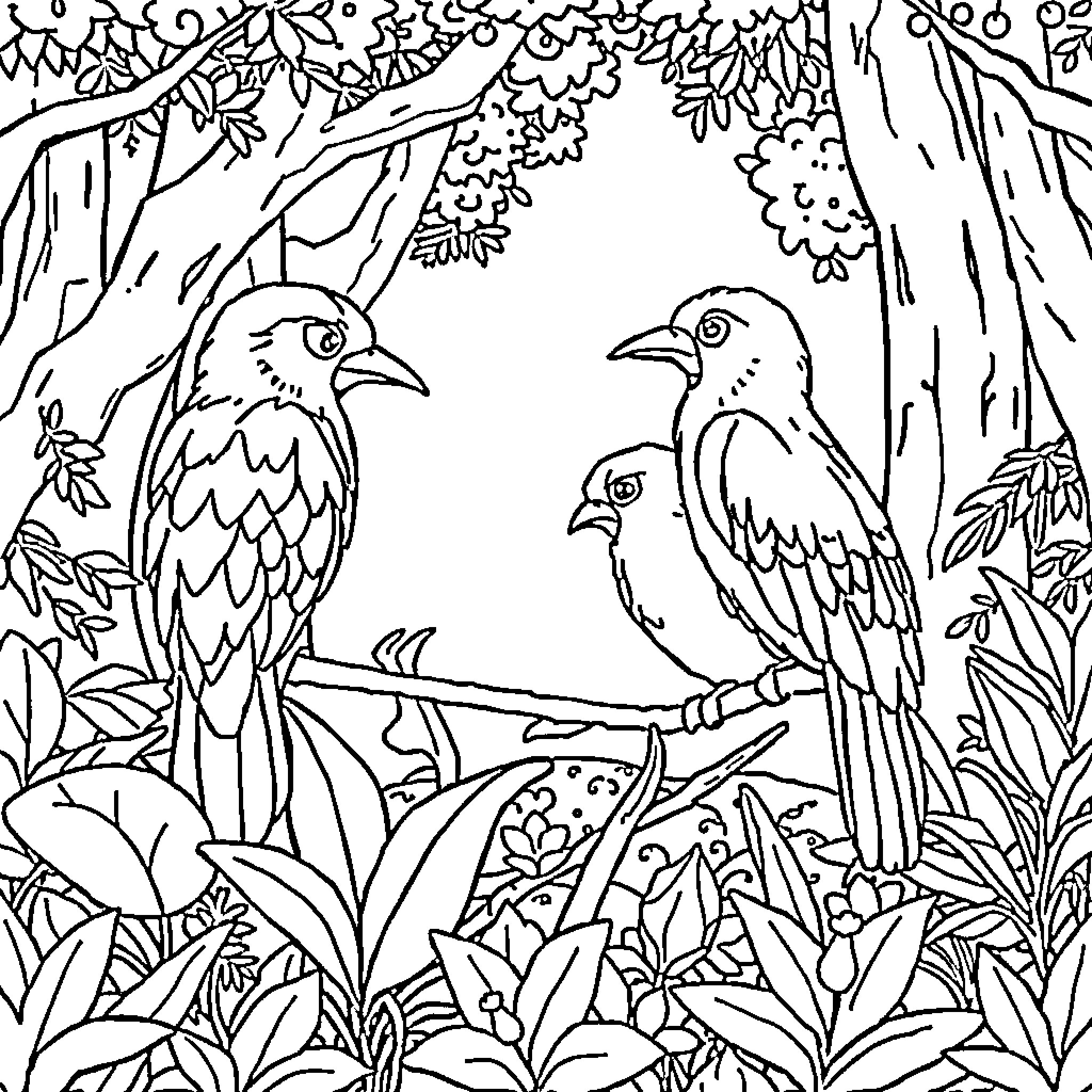 Nomo Birds in the Lush Foliage Coloring Page (free black-and-white line drawing printable PDF for all, from beginners to advanced learners, including children, teens, adults, and seniors)