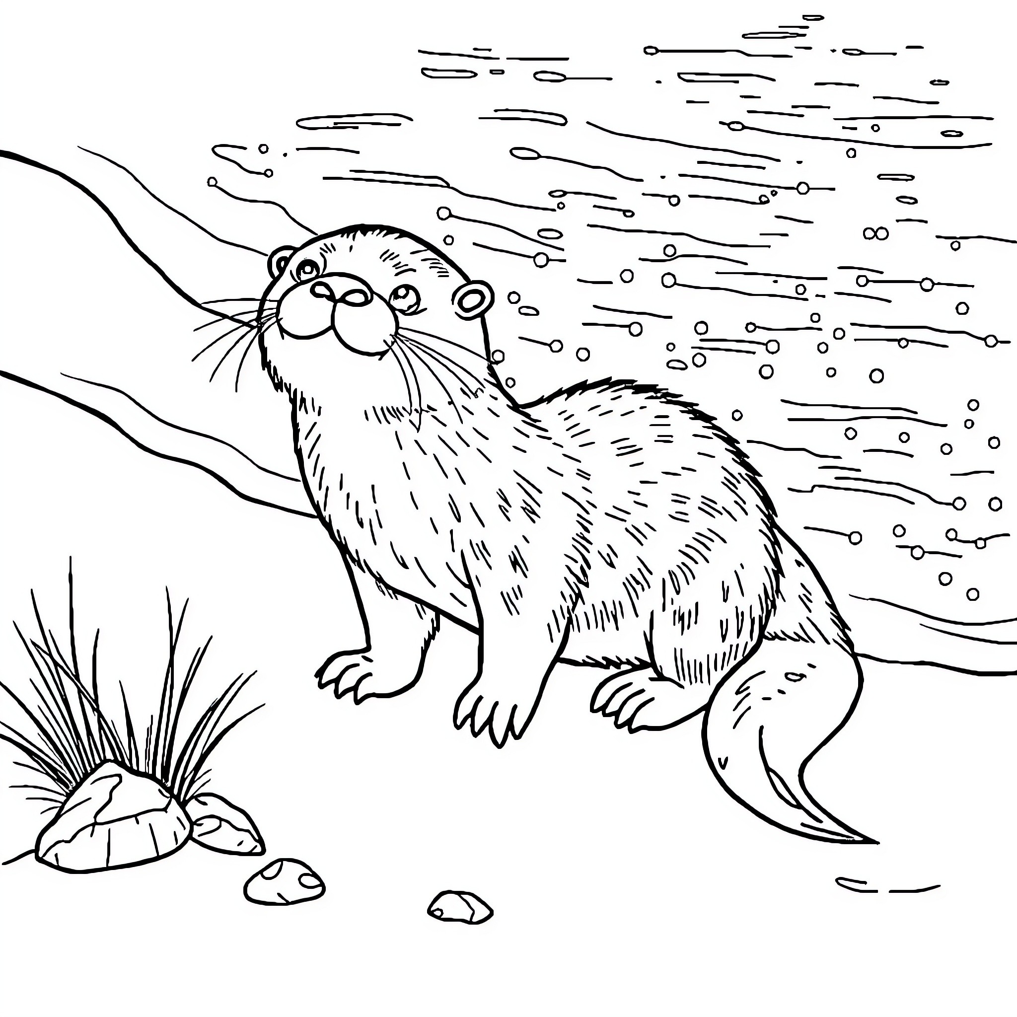 Otter exploring the snowy landscape Coloring Page (free black-and-white line drawing printable PDF for all, from beginners to advanced learners, including children, teens, adults, and seniors)