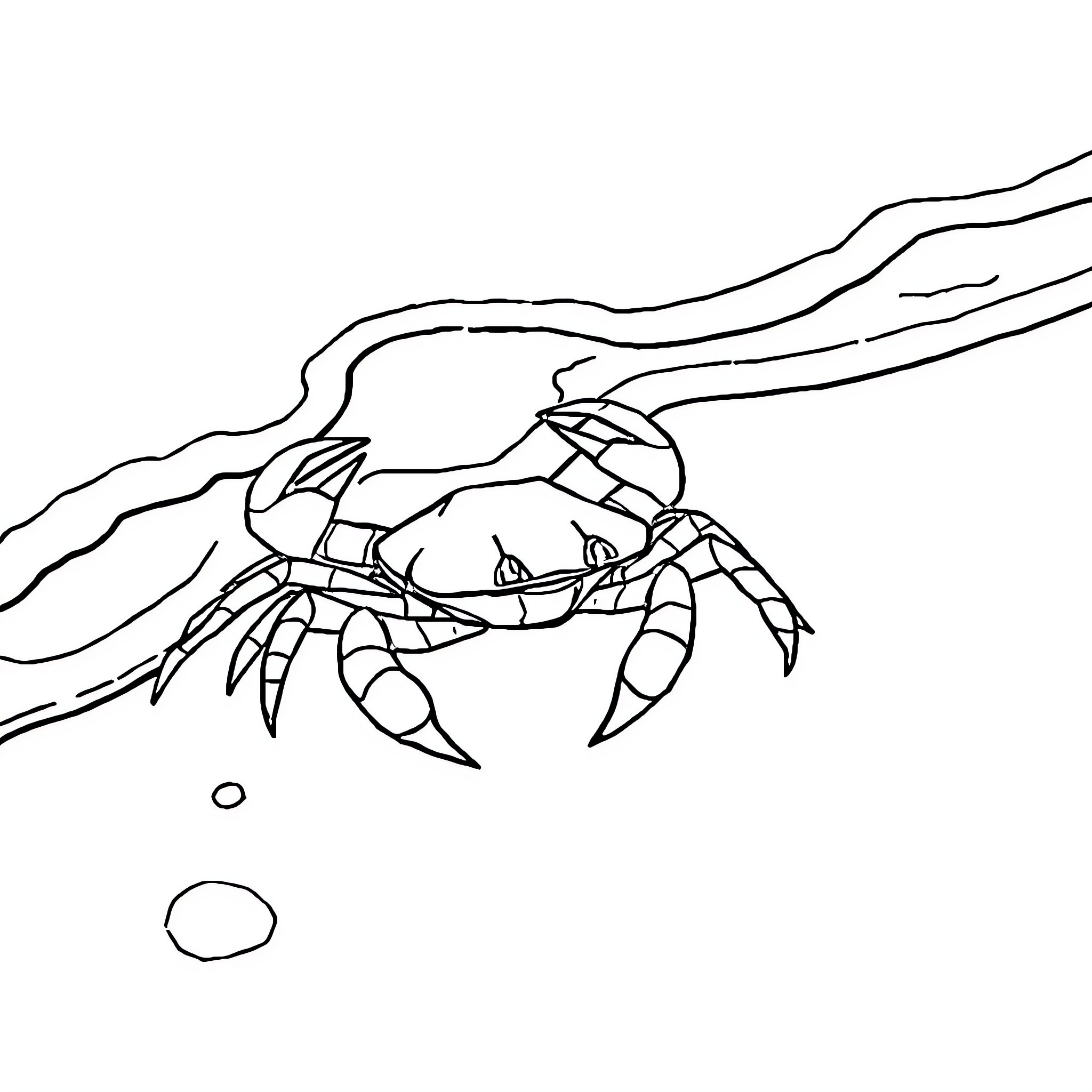 Crab scurrying amidst the ocean waves Coloring Page (free black-and-white line drawing printable PDF for all, from beginners to advanced learners, including children, teens, adults, and seniors)