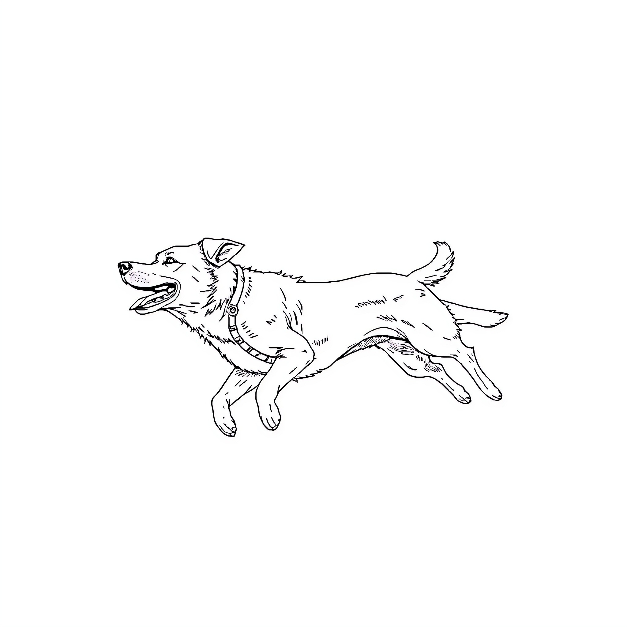 Dog running excitedly in the yard Coloring Page (free black-and-white line drawing printable PDF for all, from beginners to advanced learners, including children, teens, adults, and seniors)