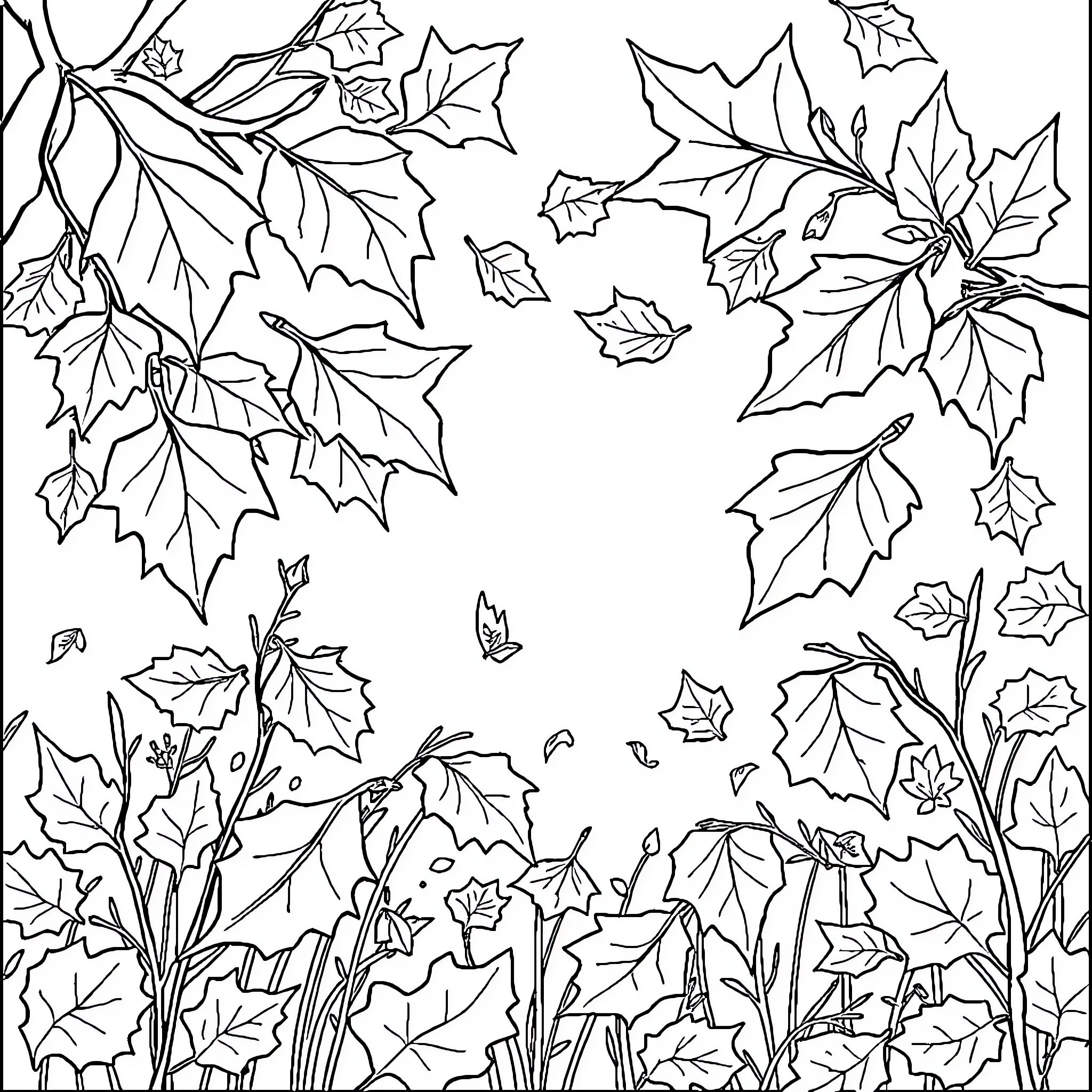 Leaf Shapes and Patterns in Nature Coloring Page (free black-and-white line drawing printable PDF for all, from beginners to advanced learners, including children, teens, adults, and seniors)