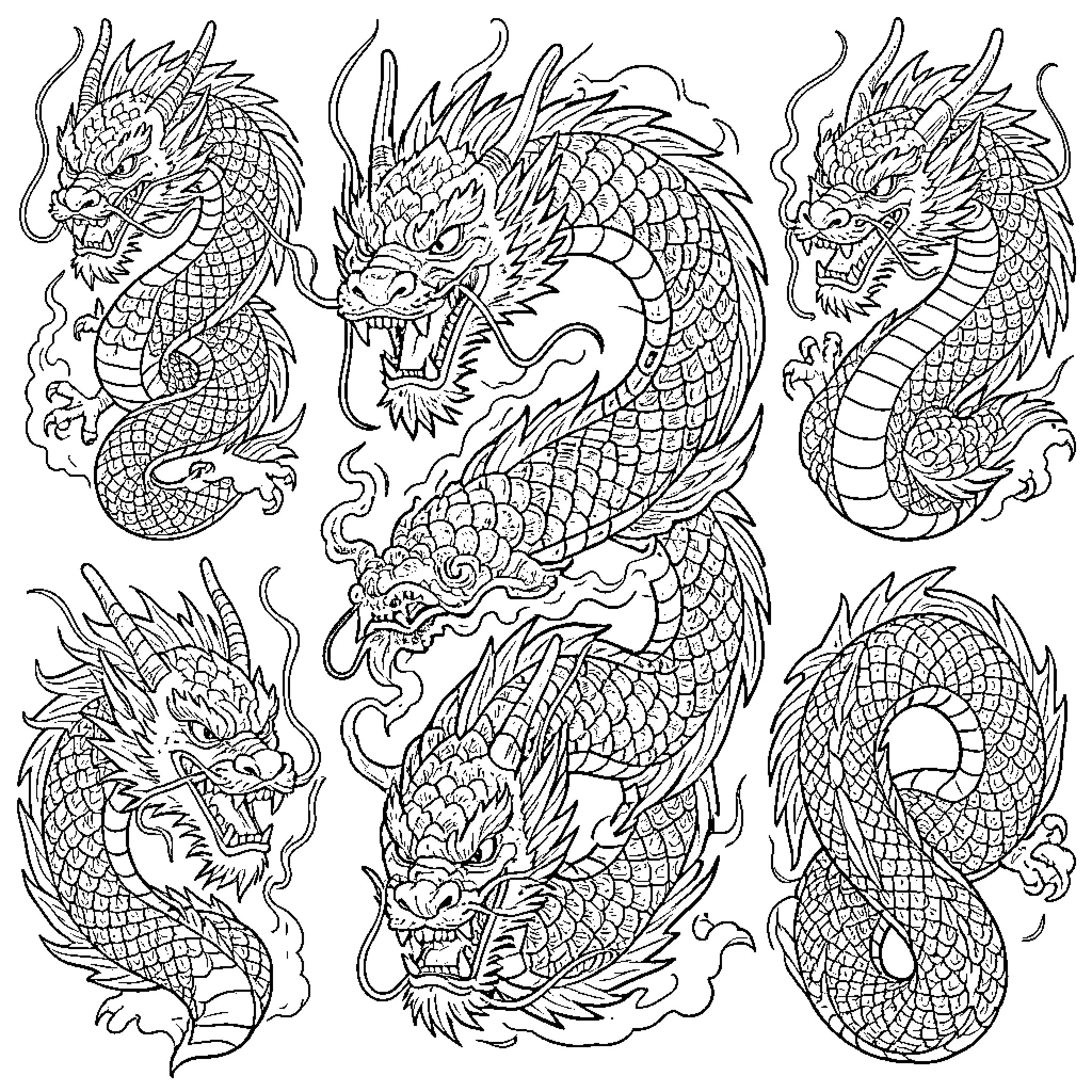 Dragons showcasing fierce expressions and intricate designs Coloring Page (free black-and-white line drawing printable PDF for all, from beginners to advanced learners, including children, teens, adults, and seniors)
