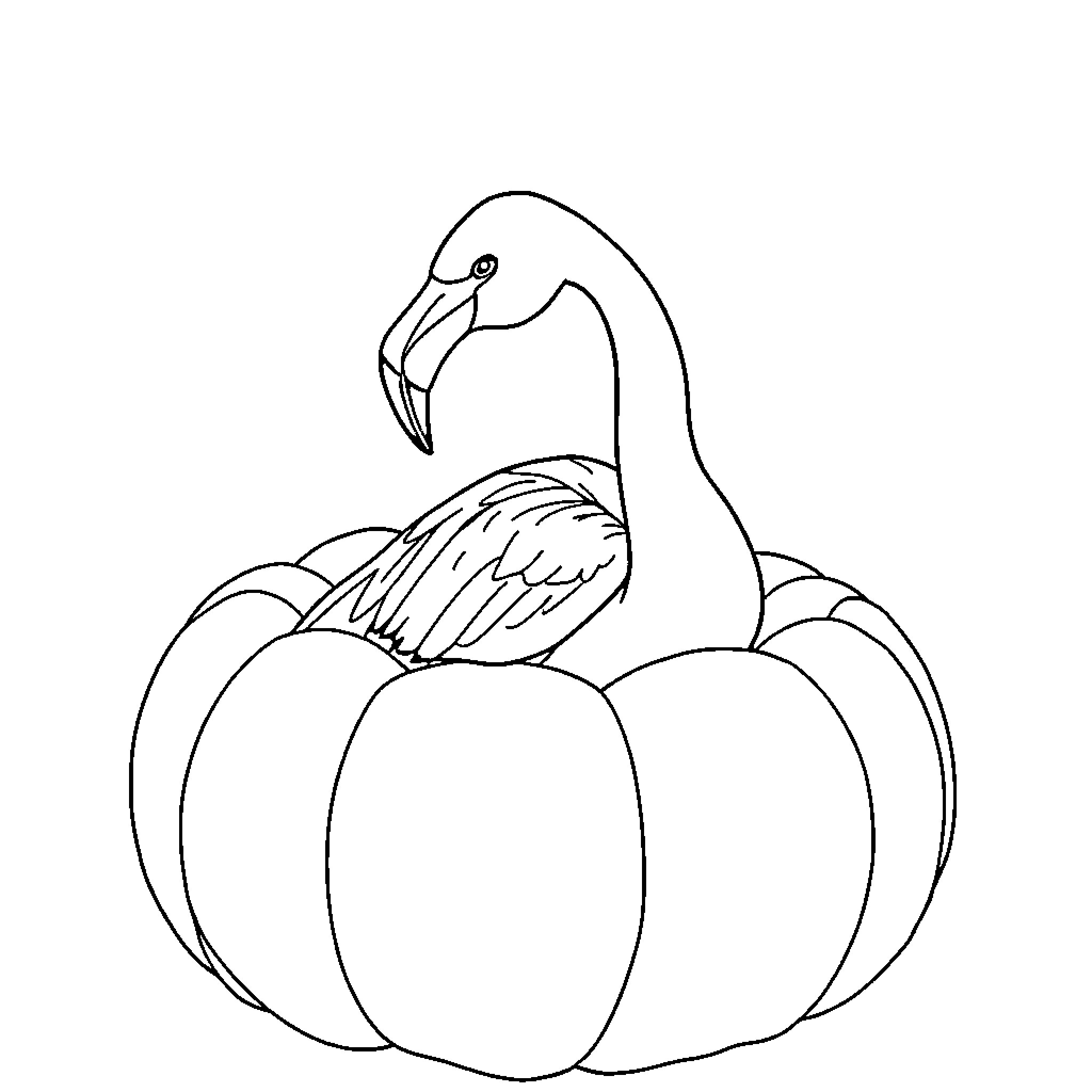 Flamingo resting on pumpkin patch Coloring Page (free black-and-white line drawing printable PDF for all, from beginners to advanced learners, including children, teens, adults, and seniors)