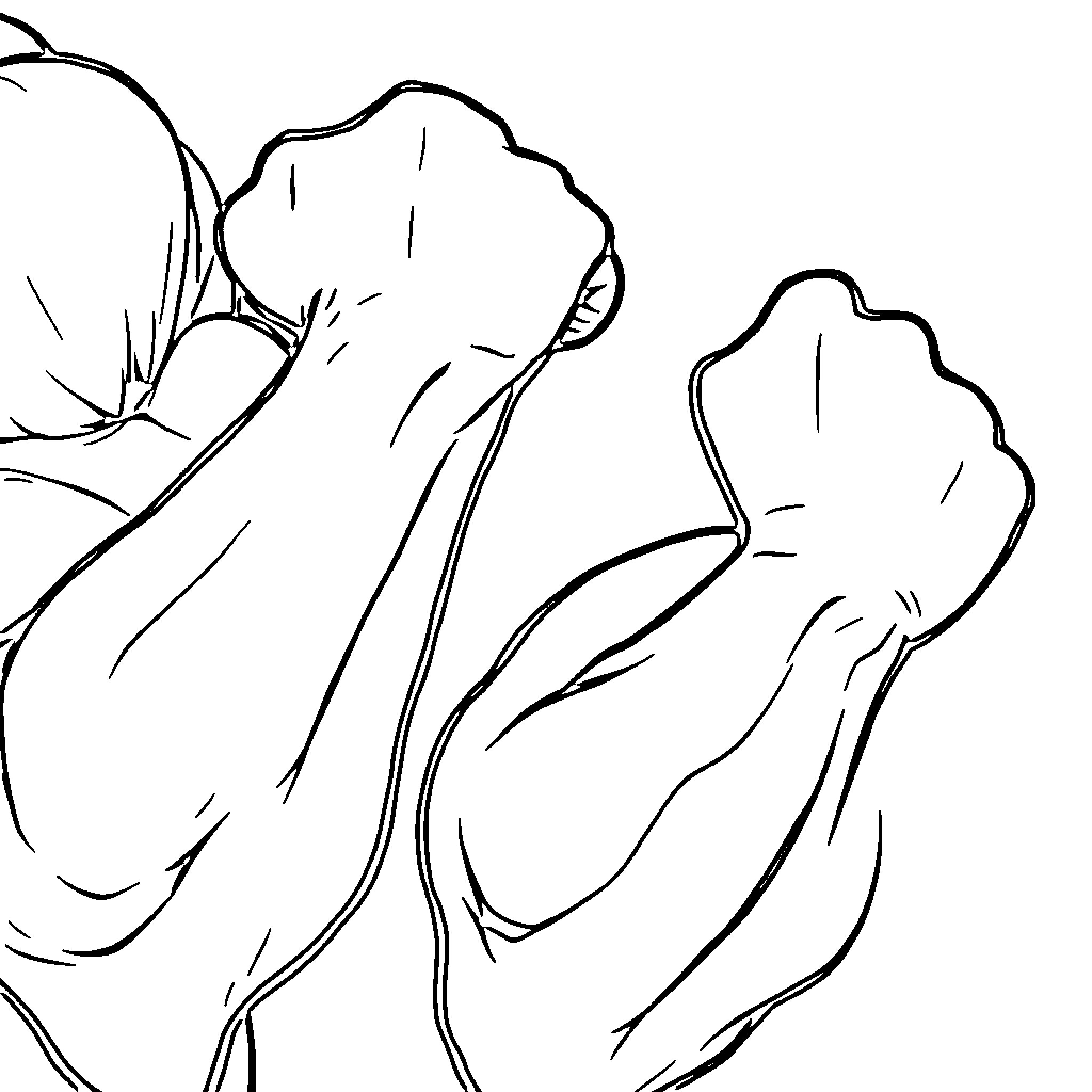 Vein of Organic Forms Coloring Page (free black-and-white line drawing printable PDF for all, from beginners to advanced learners, including children, teens, adults, and seniors)