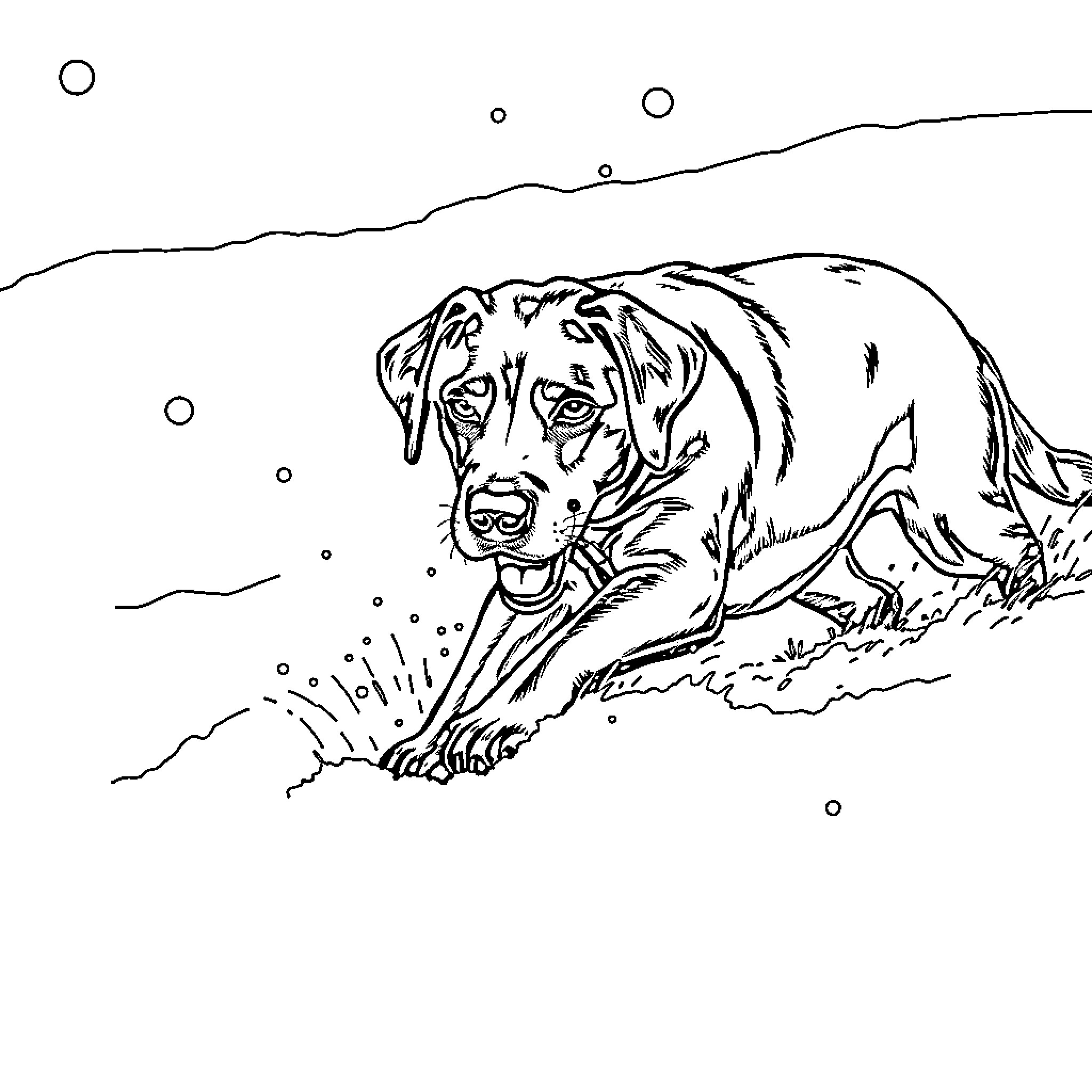 Dog playing in the snow Coloring Page (free black-and-white line drawing printable PDF for all, from beginners to advanced learners, including children, teens, adults, and seniors)
