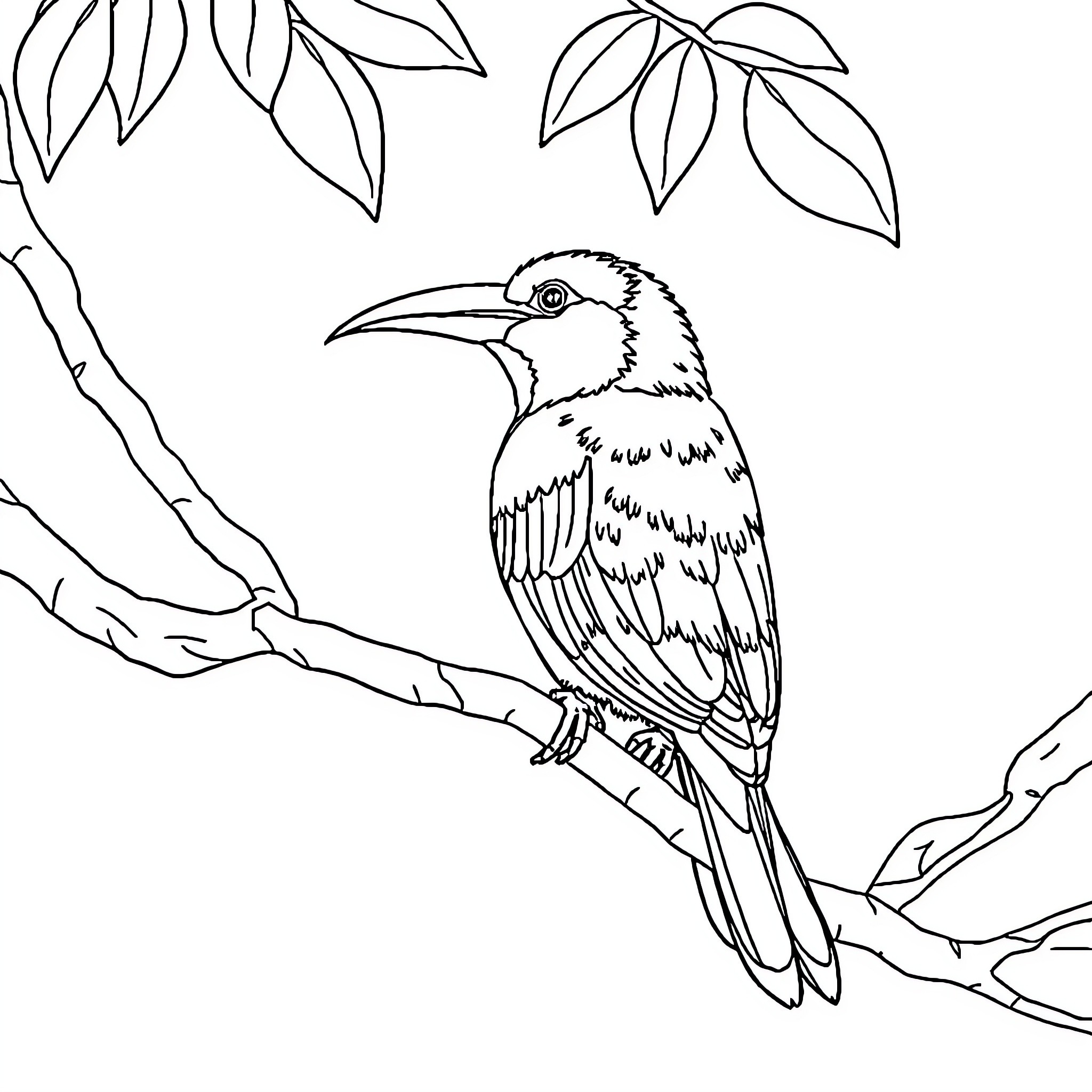 Bird perched on branch in nature Coloring Page (free black-and-white line drawing printable PDF for all, from beginners to advanced learners, including children, teens, adults, and seniors)