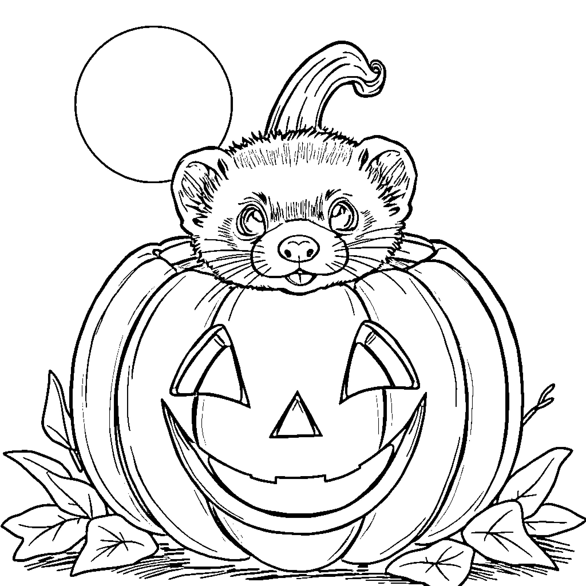 Ferret Peering from Jack-o'-Lantern Coloring Page (free black-and-white line drawing printable PDF for all, from beginners to advanced learners, including children, teens, adults, and seniors)