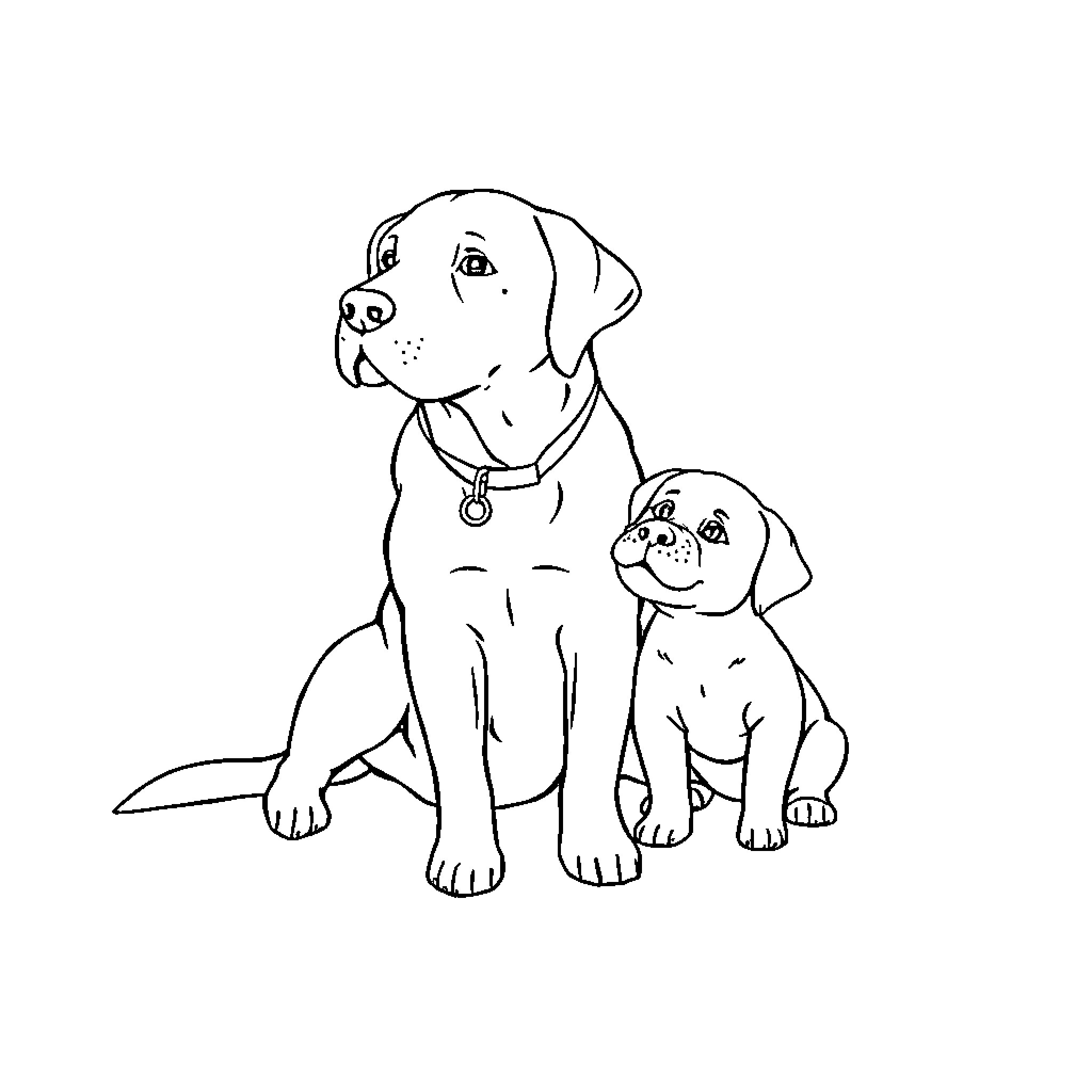 Labrador and puppy sitting together Coloring Page (free black-and-white line drawing printable PDF for all, from beginners to advanced learners, including children, teens, adults, and seniors)