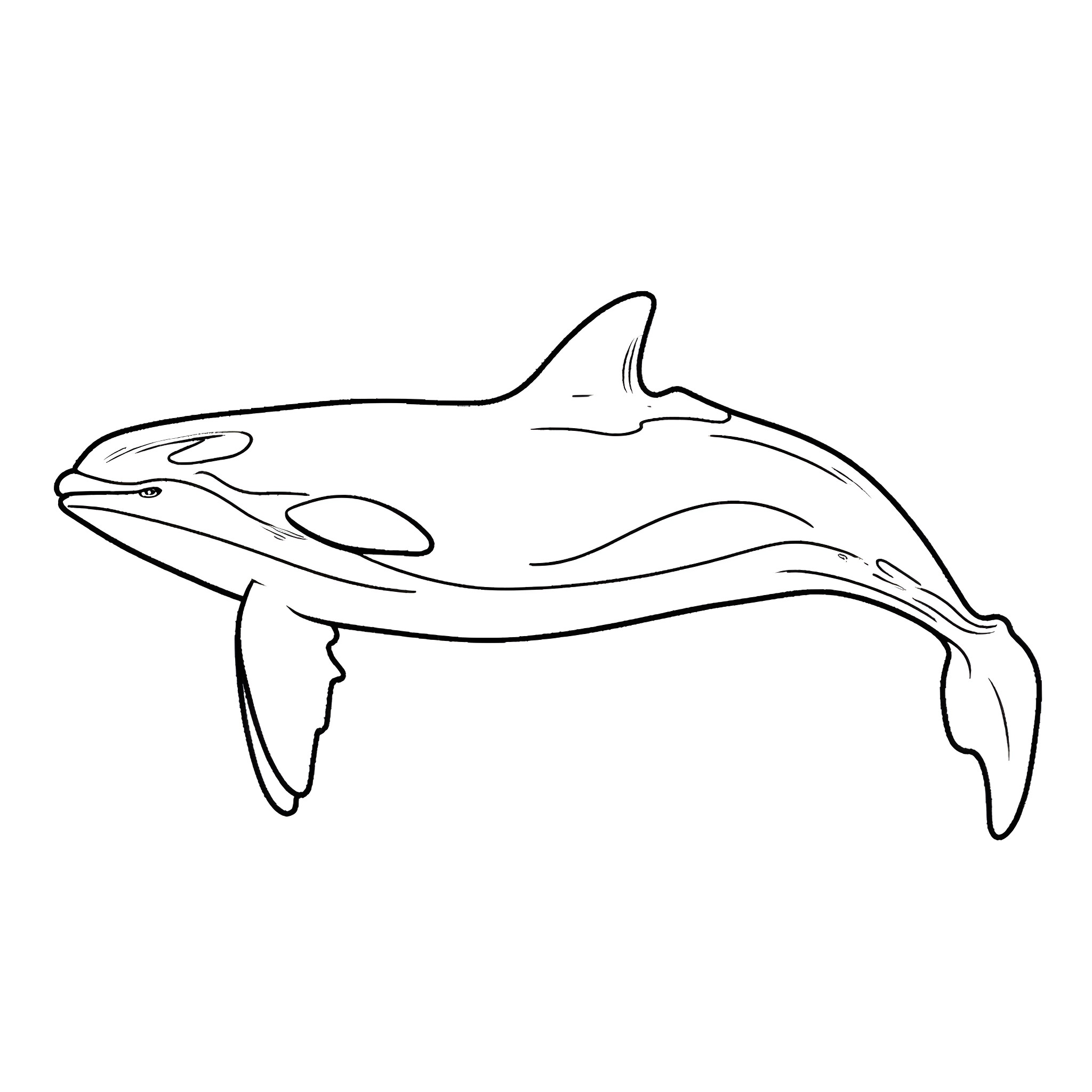 Orca swimming gracefully in the ocean Coloring Page (free black-and-white line drawing printable PDF for all, from beginners to advanced learners, including children, teens, adults, and seniors)