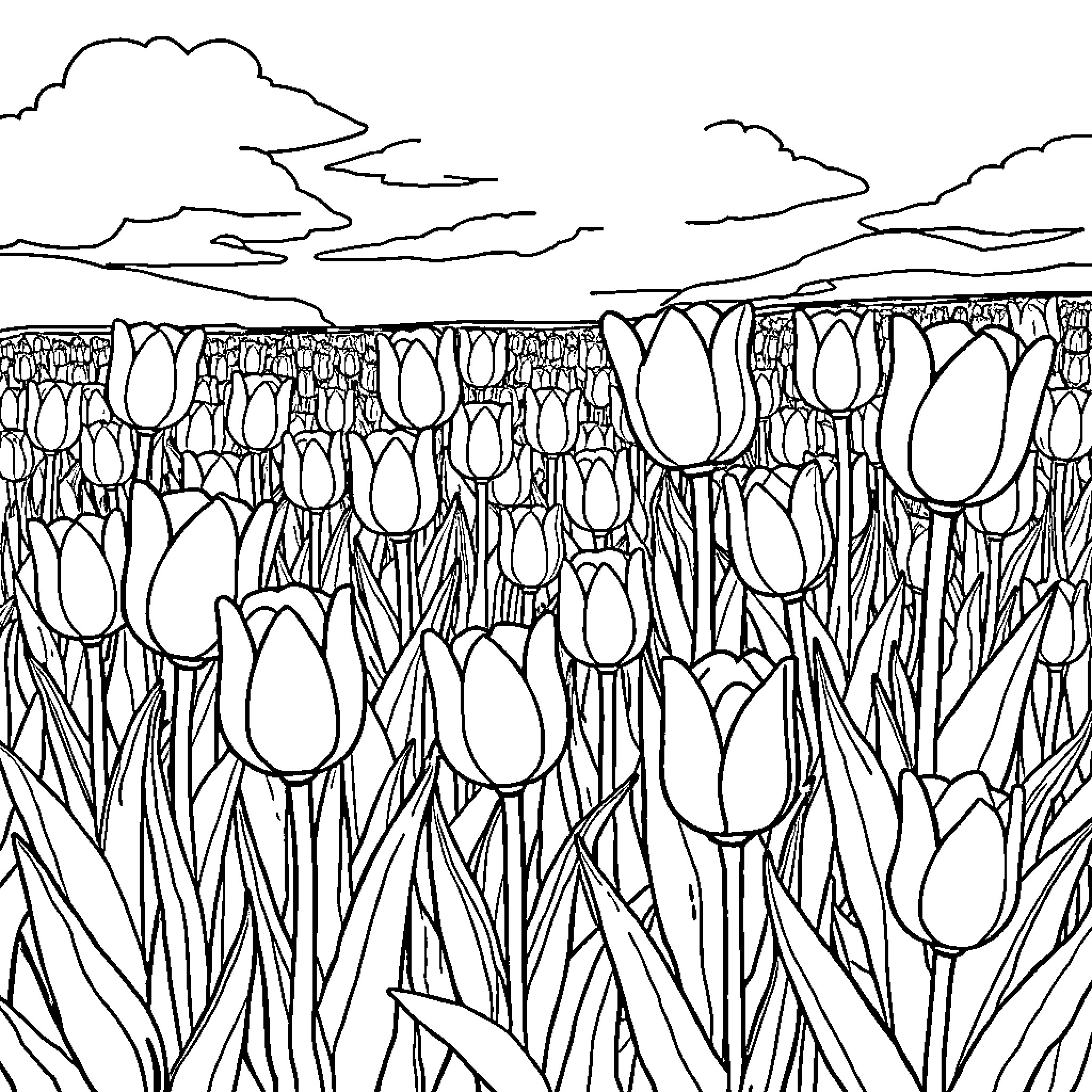 Tulip field in a windy day Coloring Page (free black-and-white line drawing printable PDF for all, from beginners to advanced learners, including children, teens, adults, and seniors)