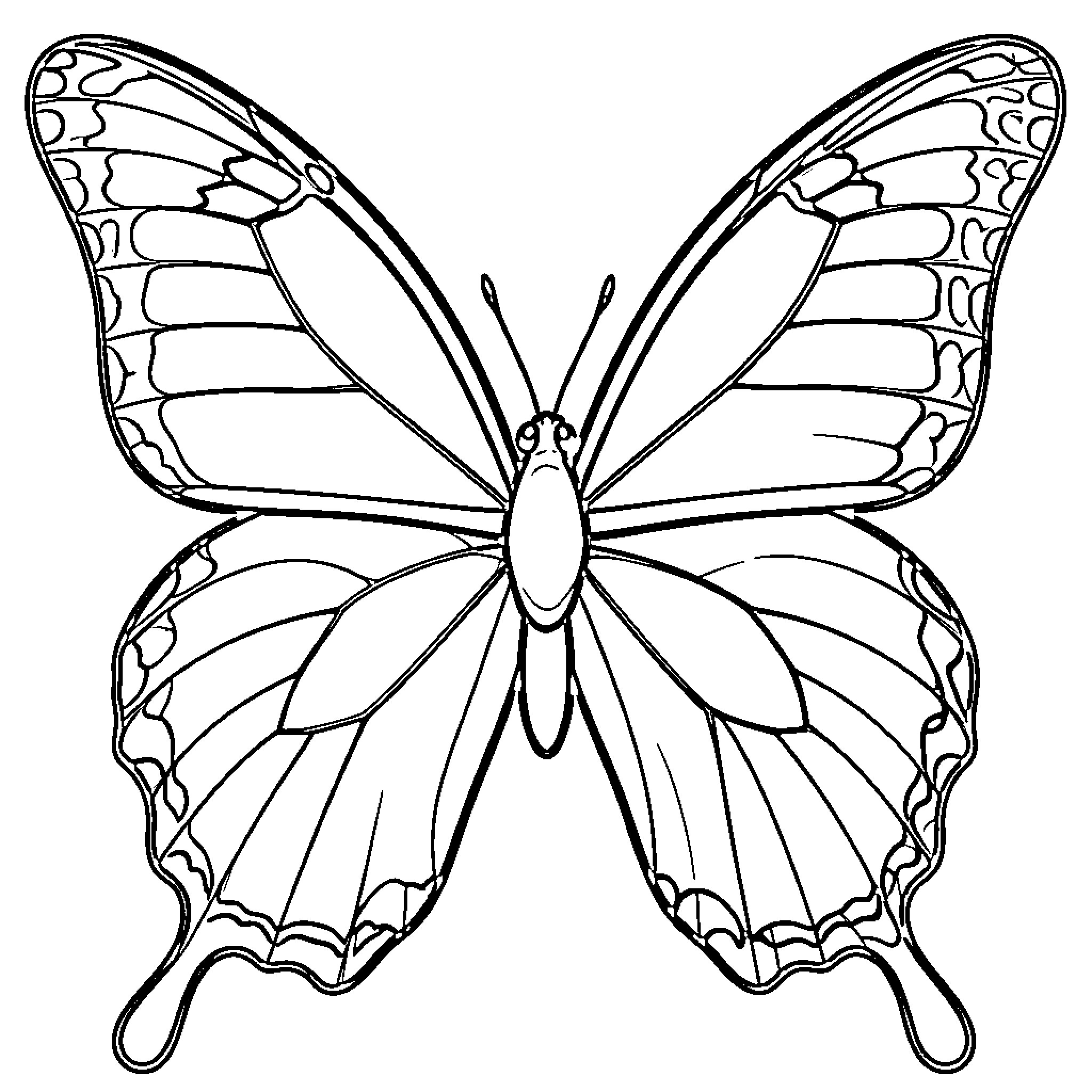 Butterfly with spread wings in a symmetrical pose Coloring Page (free black-and-white line drawing printable PDF for all, from beginners to advanced learners, including children, teens, adults, and seniors)