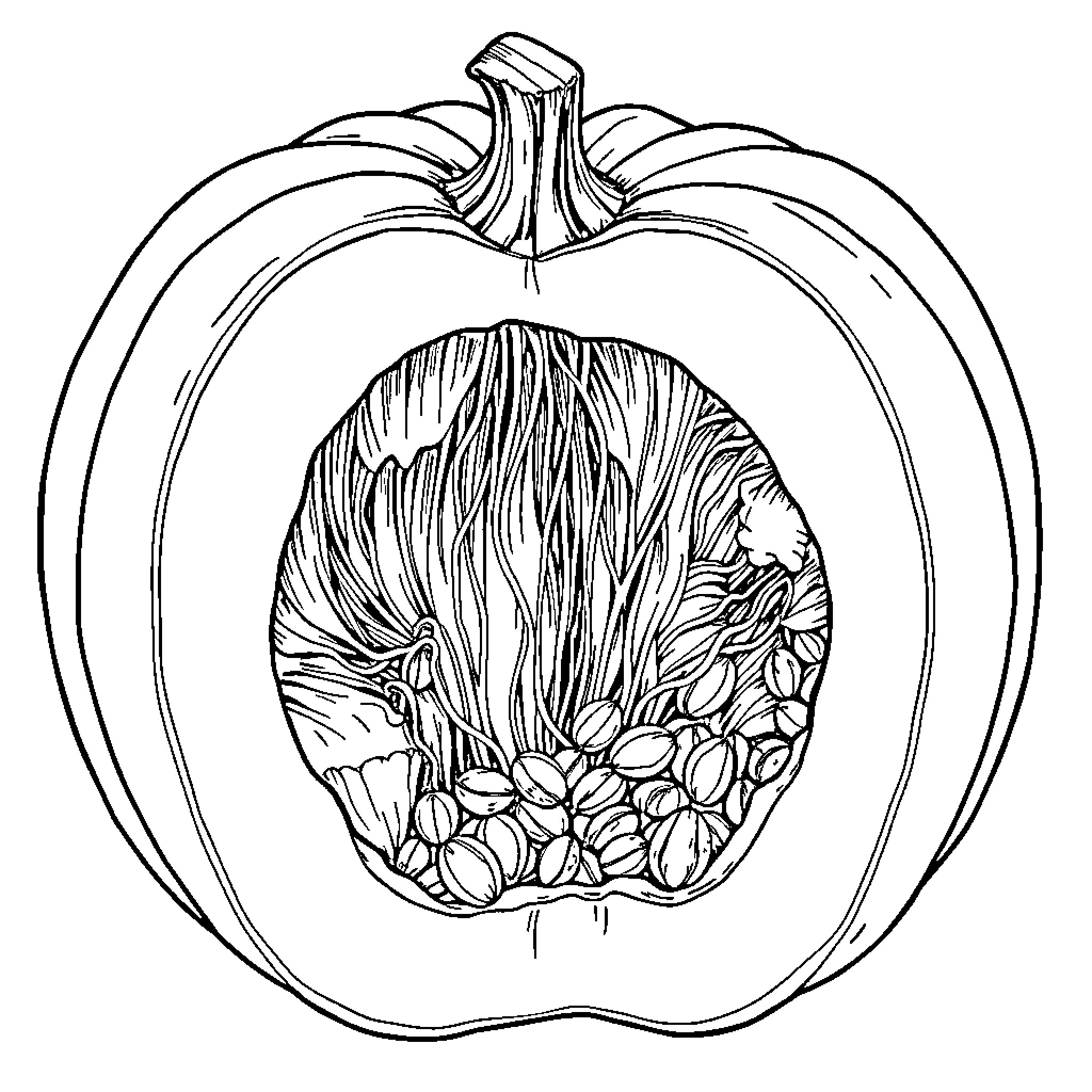Pumpkin with intricate interior design Coloring Page (free black-and-white line drawing printable PDF for all, from beginners to advanced learners, including children, teens, adults, and seniors)