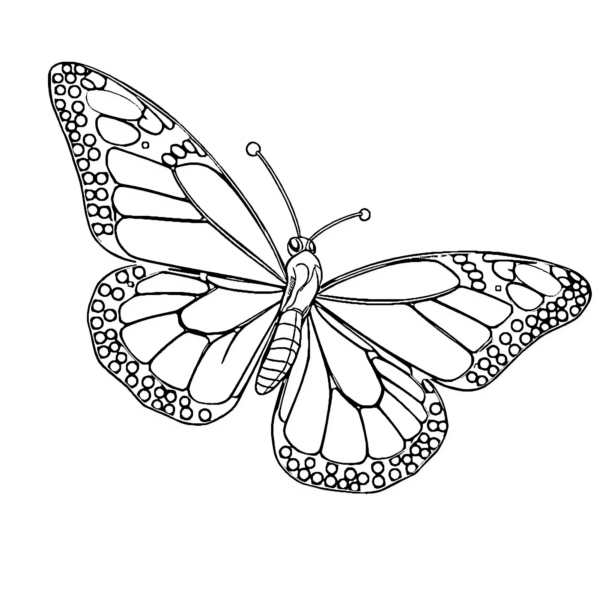 Butterfly with detailed wing patterns Coloring Page (free black-and-white line drawing printable PDF for all, from beginners to advanced learners, including children, teens, adults, and seniors)