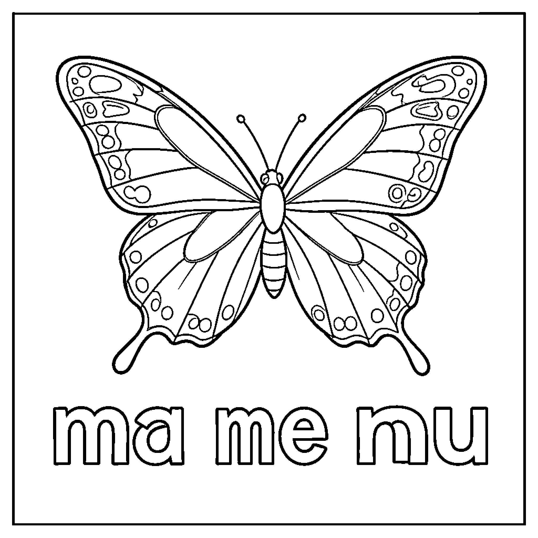 Mariposa Butterfly in Detailed Illustration Coloring Page (free black-and-white line drawing printable PDF for all, from beginners to advanced learners, including children, teens, adults, and seniors)