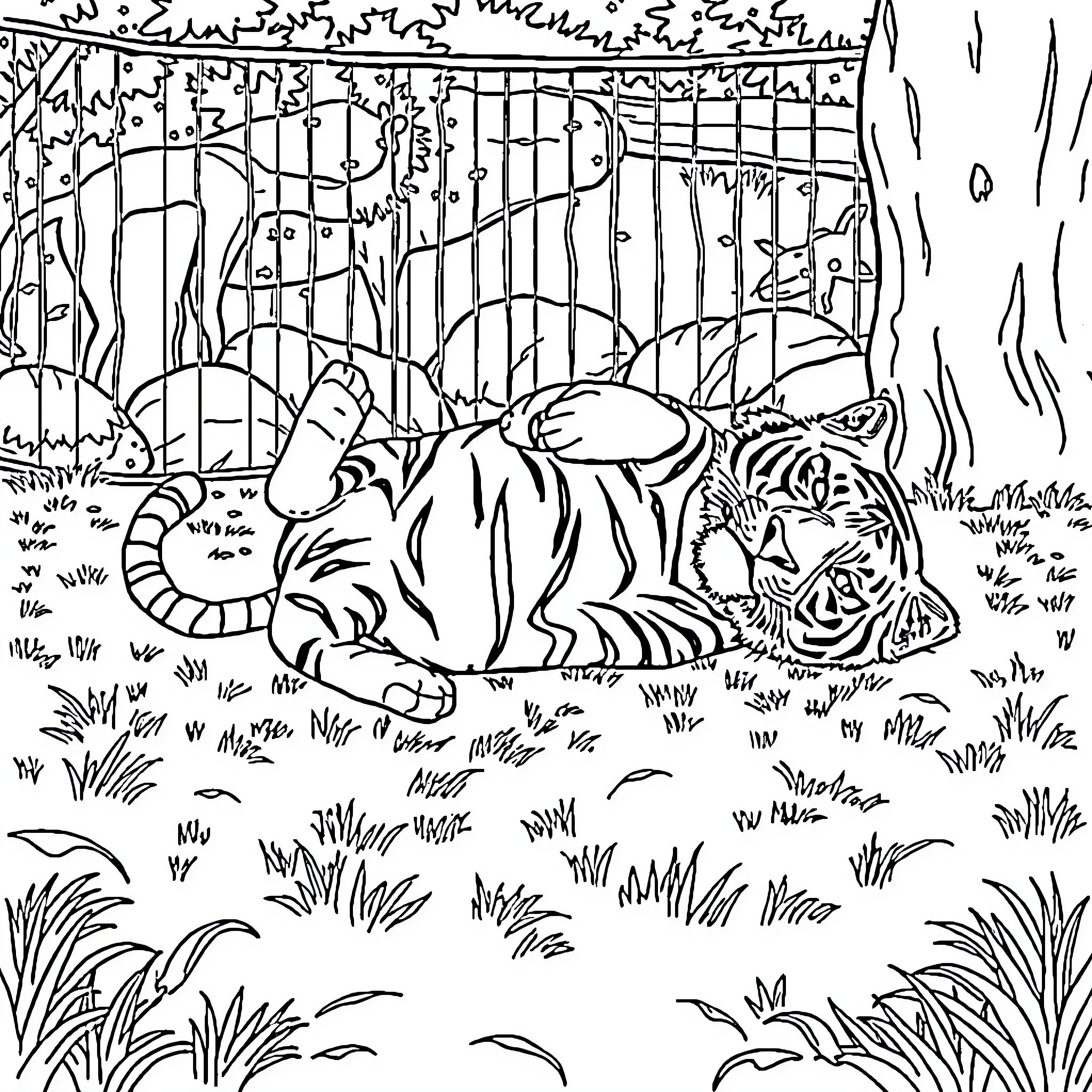 Tiger in Natural Habitat Coloring Page (free black-and-white line drawing printable PDF for all, from beginners to advanced learners, including children, teens, adults, and seniors)