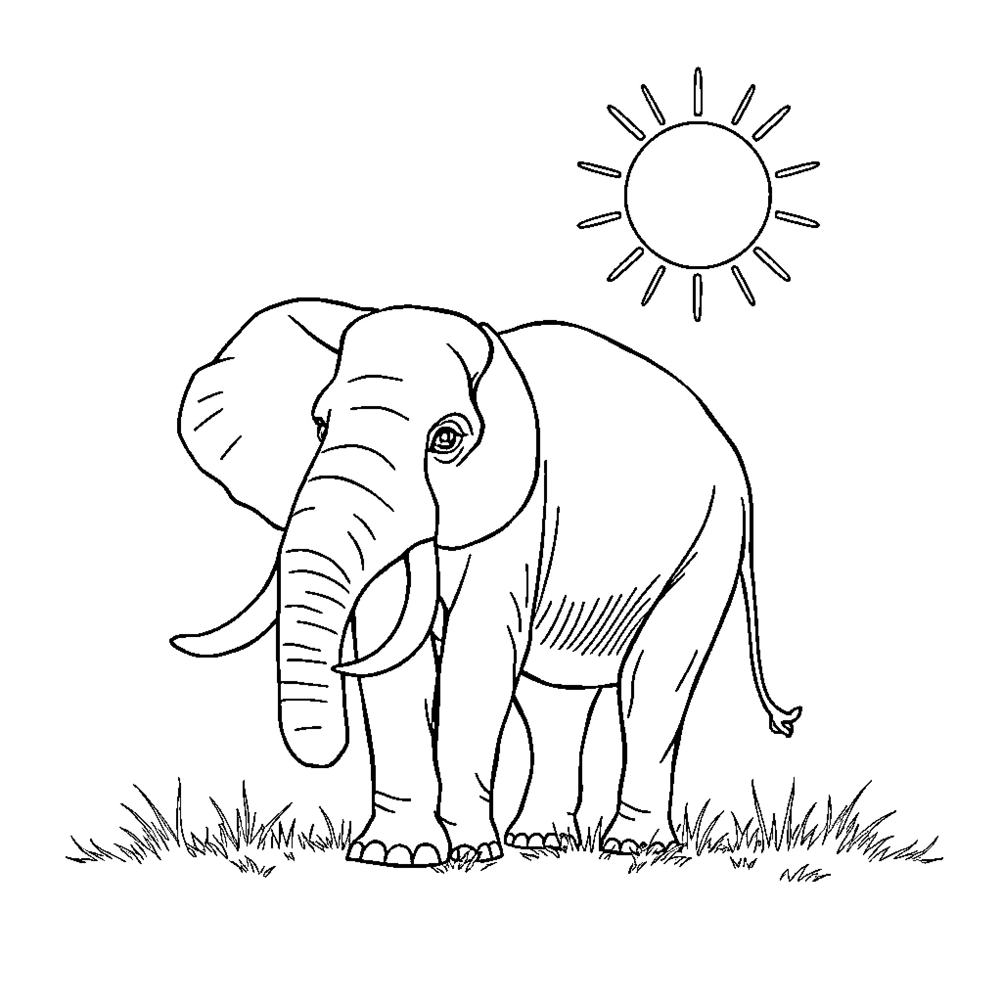 Elephant enjoying the sunny day in the field Coloring Page (free black-and-white line drawing printable PDF for all, from beginners to advanced learners, including children, teens, adults, and seniors)