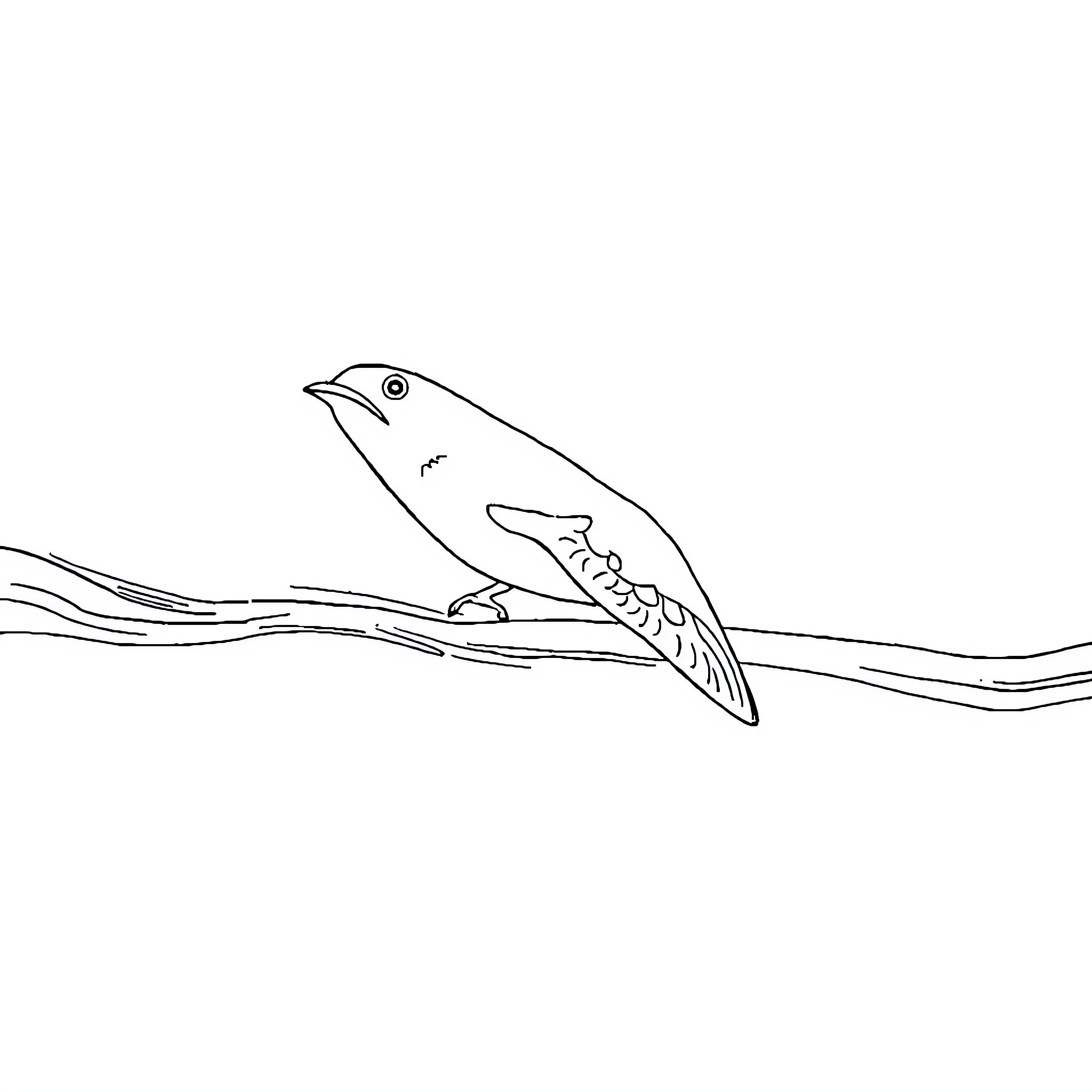 Sea Animal swimming in the ocean Coloring Page (free black-and-white line drawing printable PDF for all, from beginners to advanced learners, including children, teens, adults, and seniors)