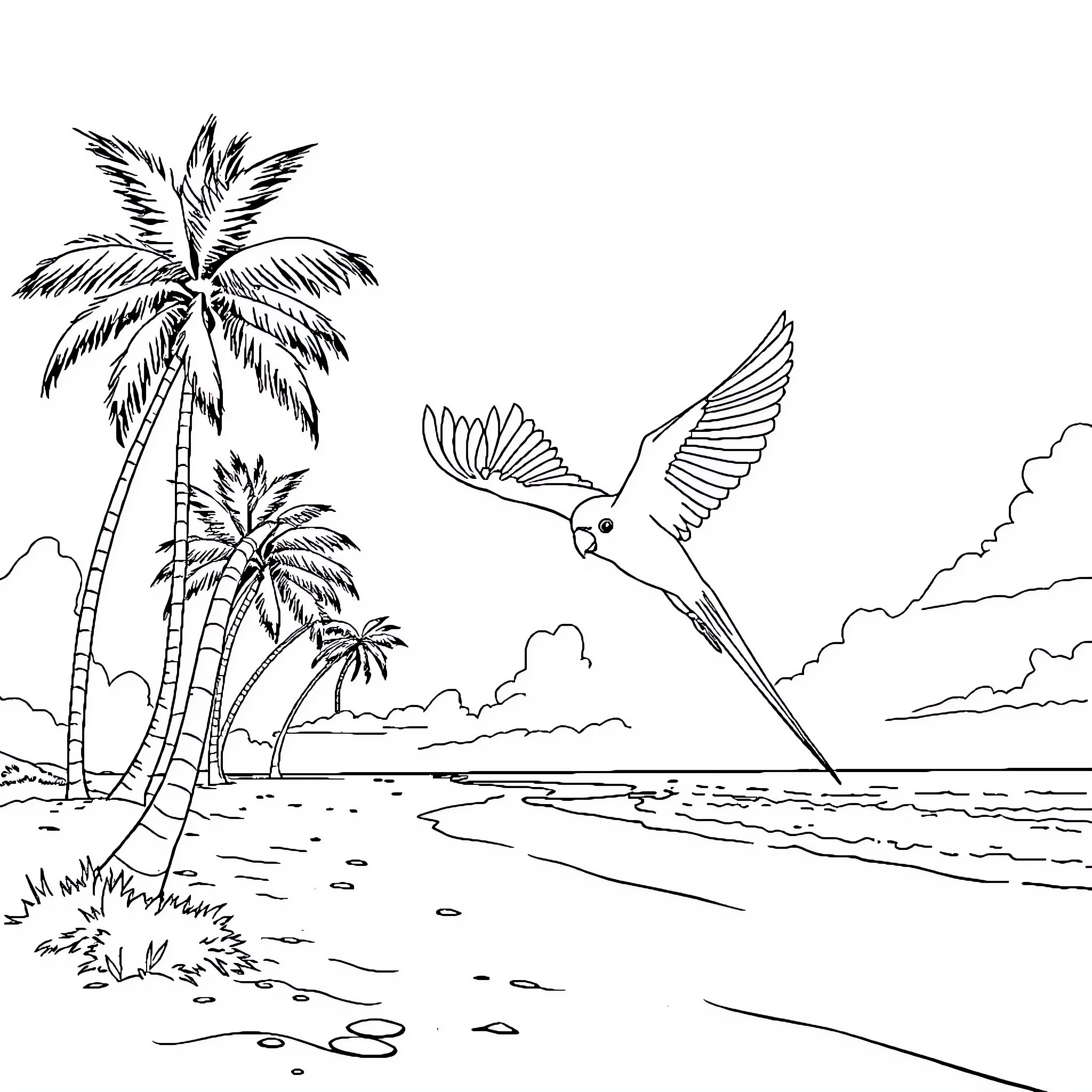 Parakeet soaring over tropical beach paradise Coloring Page (free black-and-white line drawing printable PDF for all, from beginners to advanced learners, including children, teens, adults, and seniors)