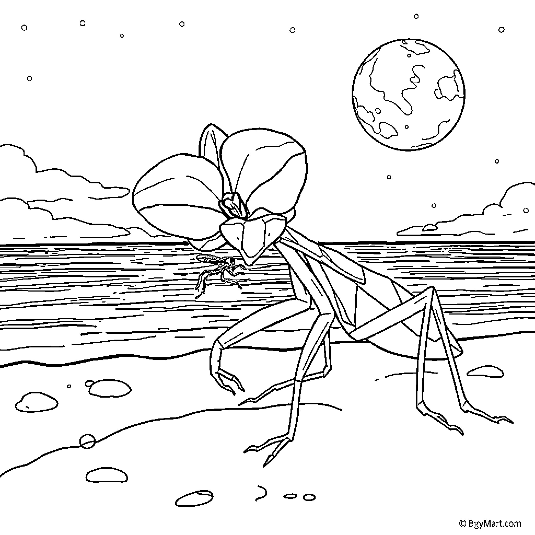 Mantis observing the Earth from the shoreline Coloring Page (free black-and-white line drawing printable PDF for all, from beginners to advanced learners, including children, teens, adults, and seniors)