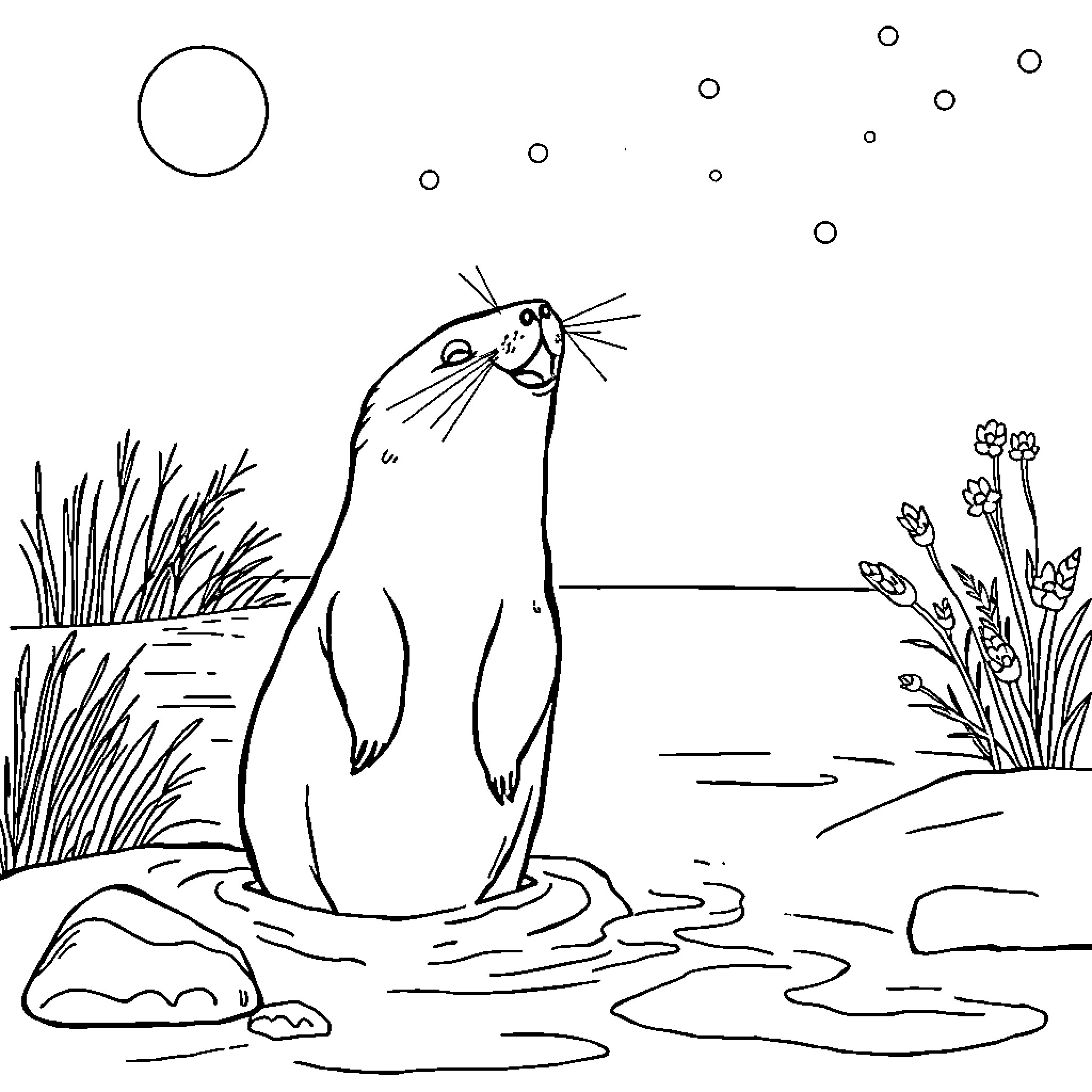 Otter enjoying a sunny day by the water Coloring Page (free black-and-white line drawing printable PDF for all, from beginners to advanced learners, including children, teens, adults, and seniors)
