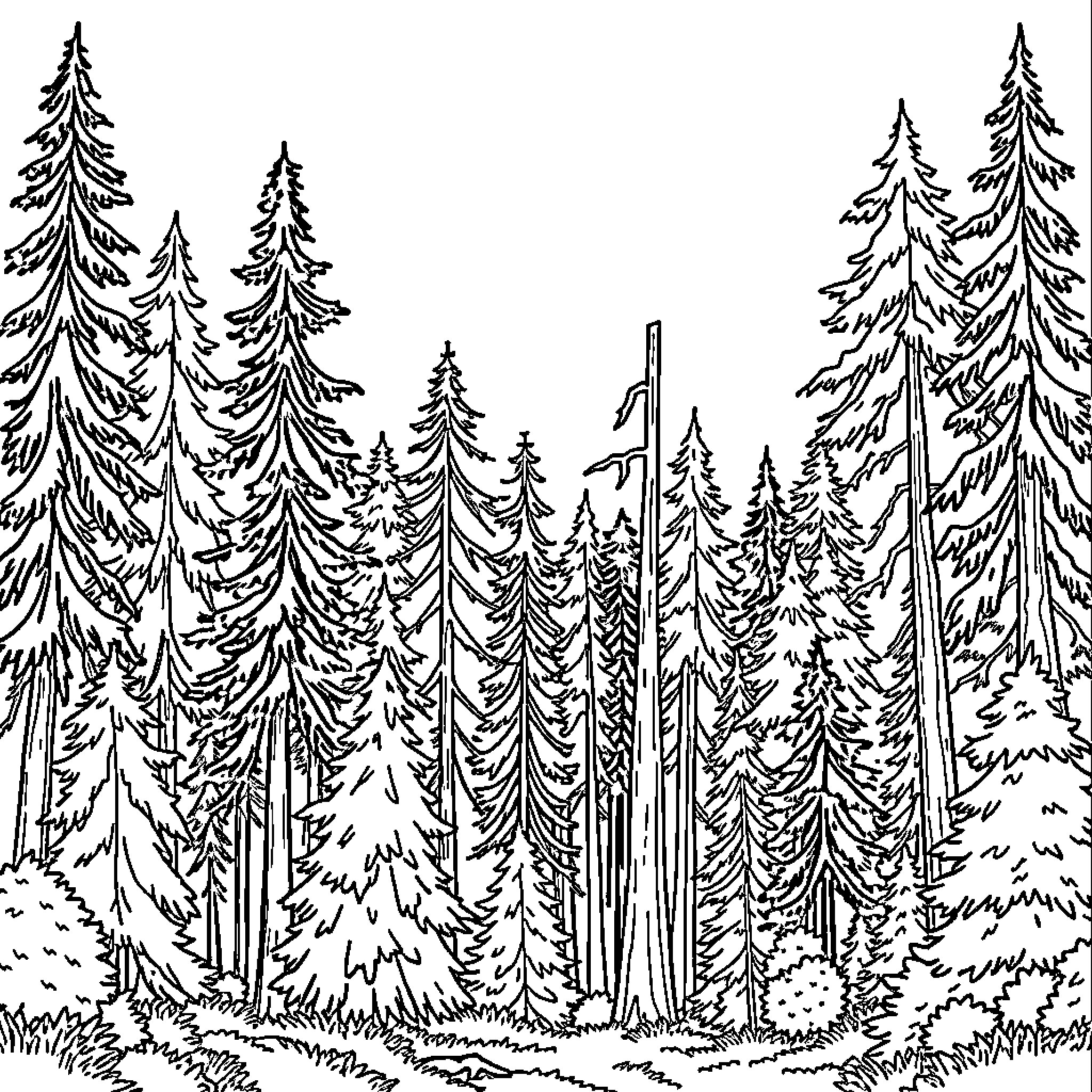 Tree-lined forest with towering pine trees Coloring Page (free black-and-white line drawing printable PDF for all, from beginners to advanced learners, including children, teens, adults, and seniors)