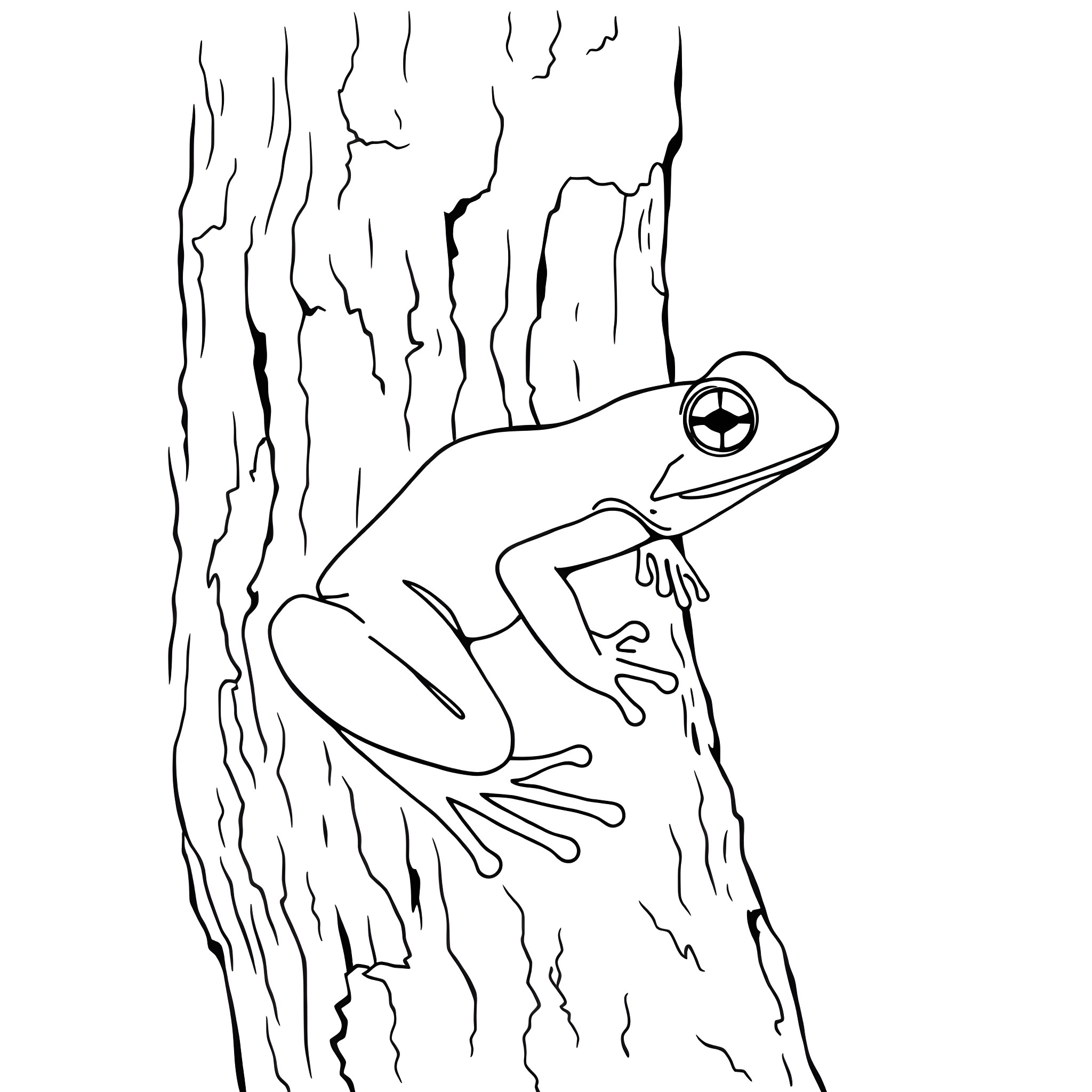 Frog clinging to tree bark Coloring Page (free black-and-white line drawing printable PDF for all, from beginners to advanced learners, including children, teens, adults, and seniors)