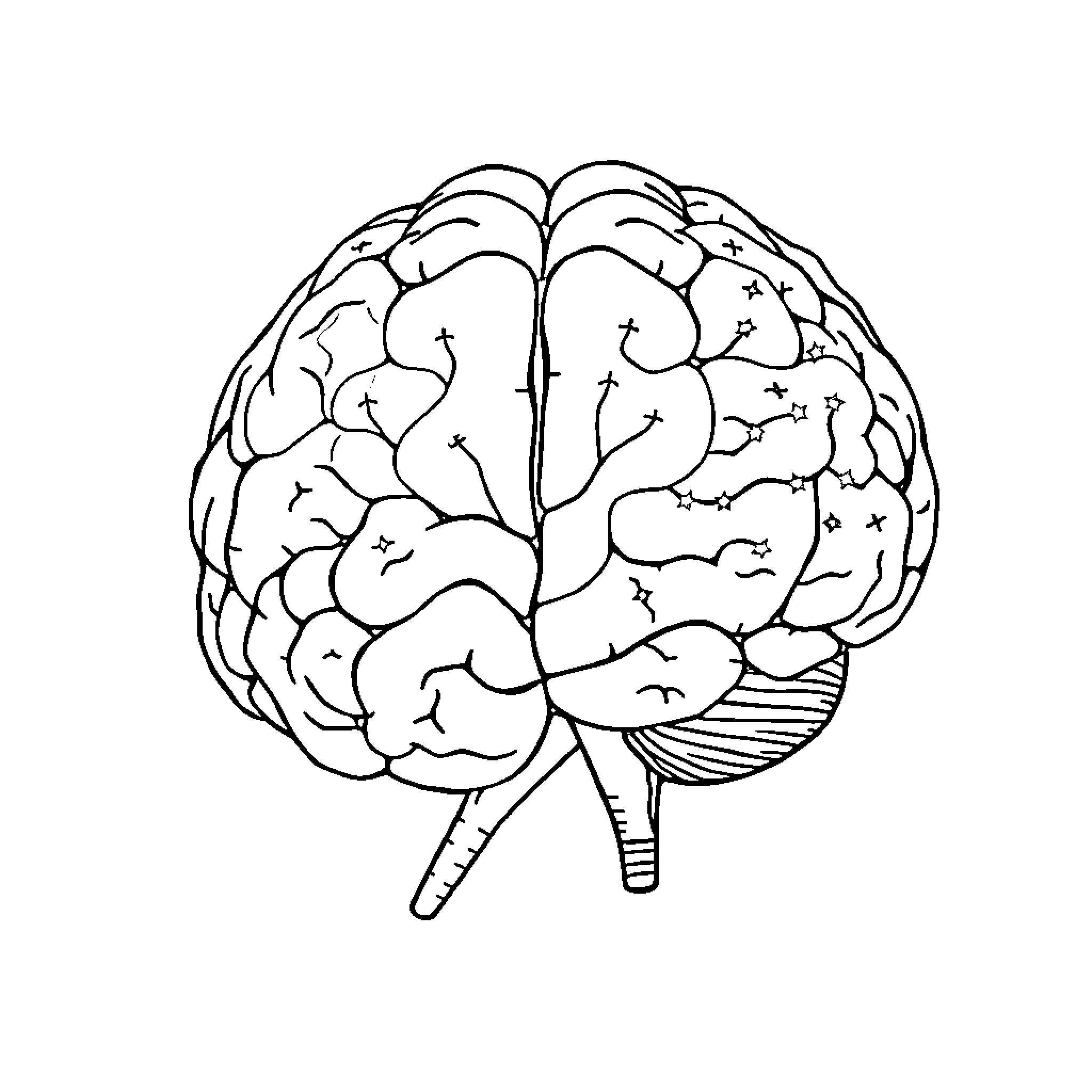 Brain made of intricate lines Coloring Page (free black-and-white line drawing printable PDF for all, from beginners to advanced learners, including children, teens, adults, and seniors)