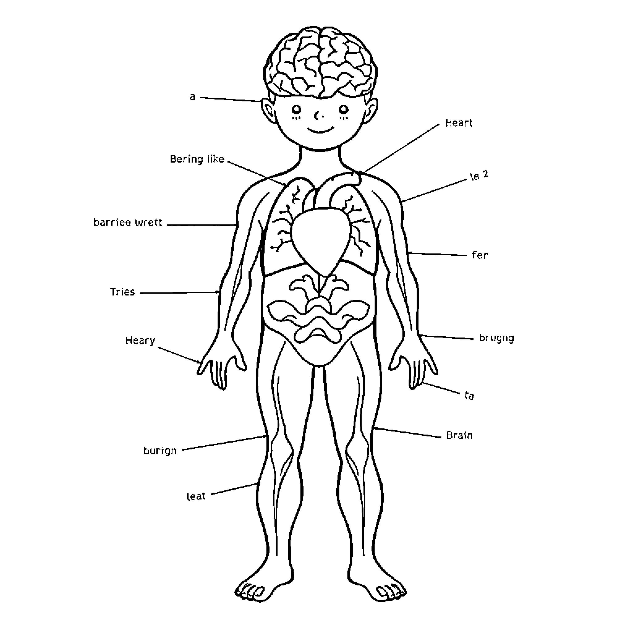 Body and its Anatomical Parts Coloring Page (free black-and-white line drawing printable PDF for all, from beginners to advanced learners, including children, teens, adults, and seniors)