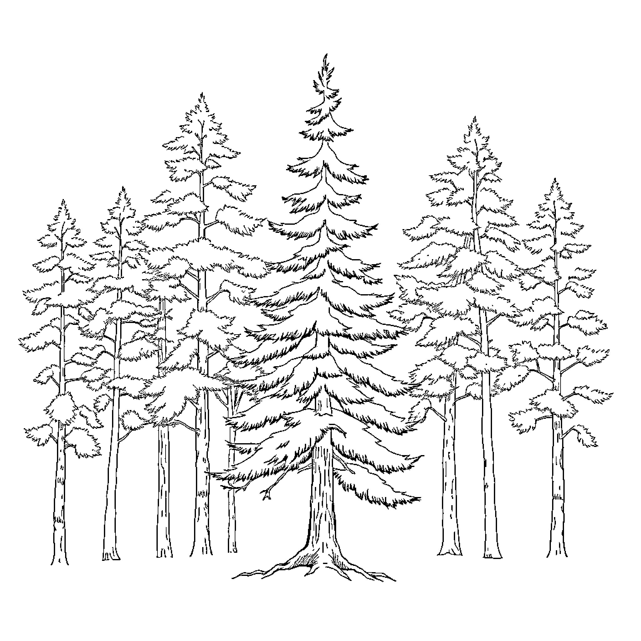 Pine Tree Silhouette Forest Landscape Coloring Page (free black-and-white line drawing printable PDF for all, from beginners to advanced learners, including children, teens, adults, and seniors)