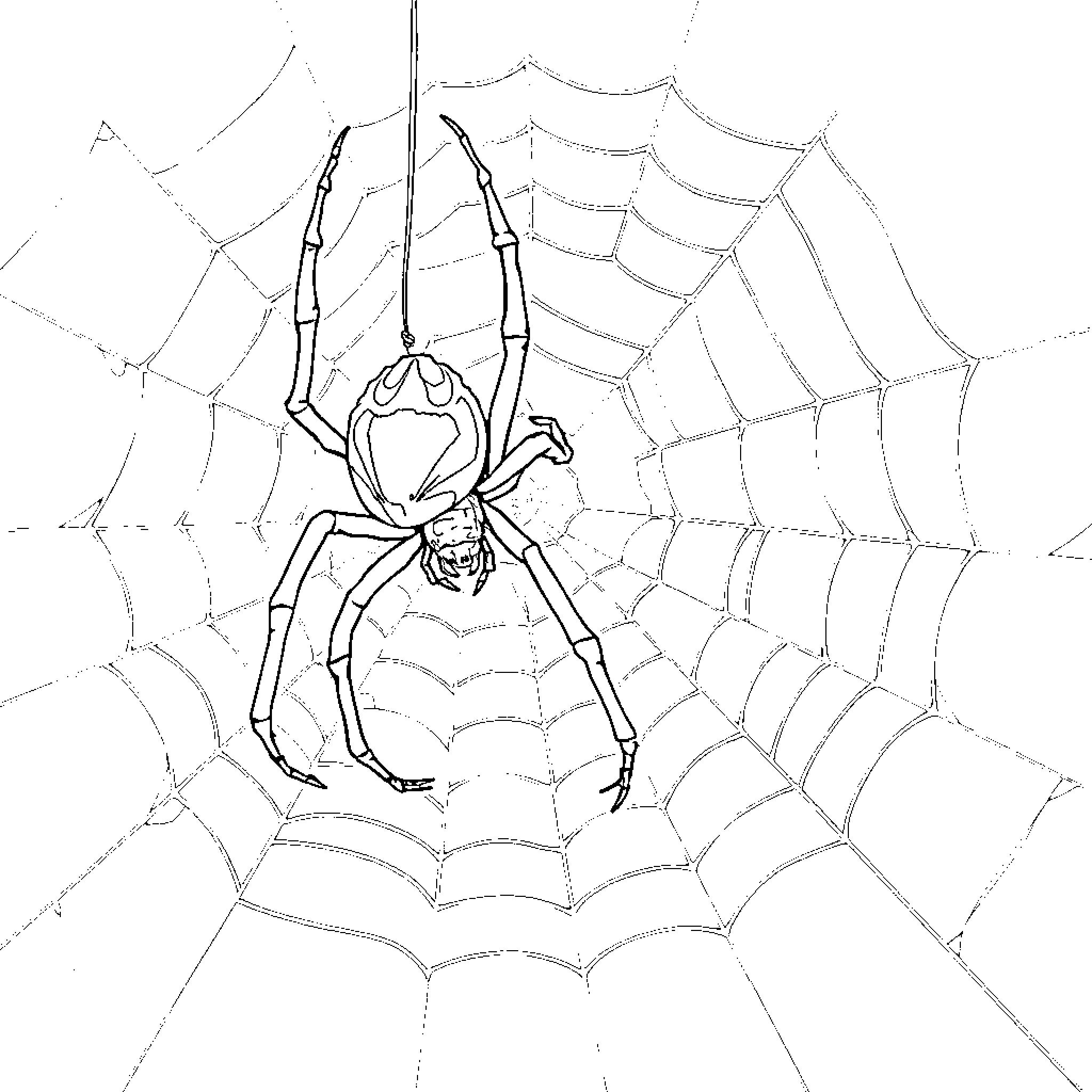 Spider caught in its intricate web Coloring Page (free black-and-white line drawing printable PDF for all, from beginners to advanced learners, including children, teens, adults, and seniors)