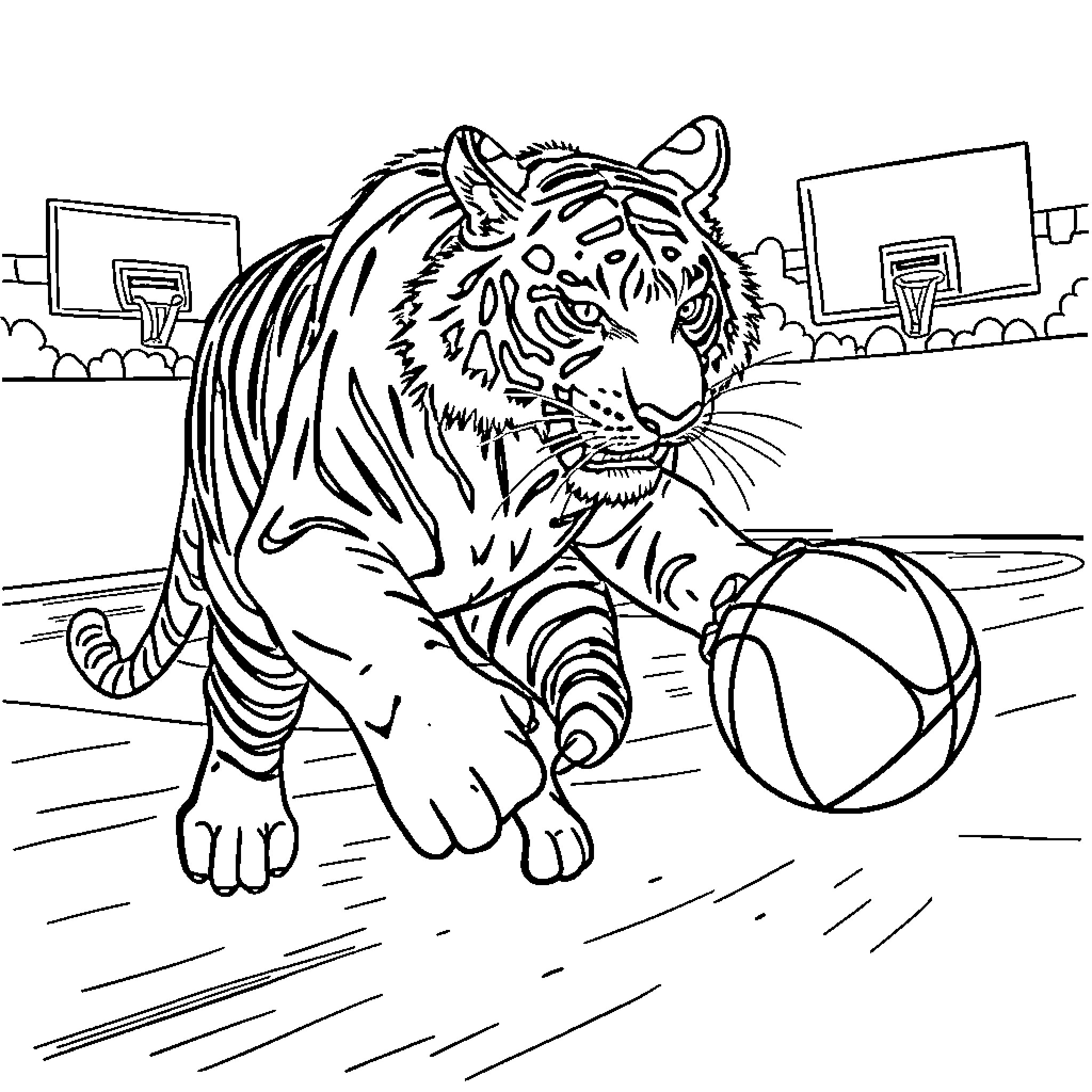 Tiger playing with basketball in urban setting Coloring Page (free black-and-white line drawing printable PDF for all, from beginners to advanced learners, including children, teens, adults, and seniors)