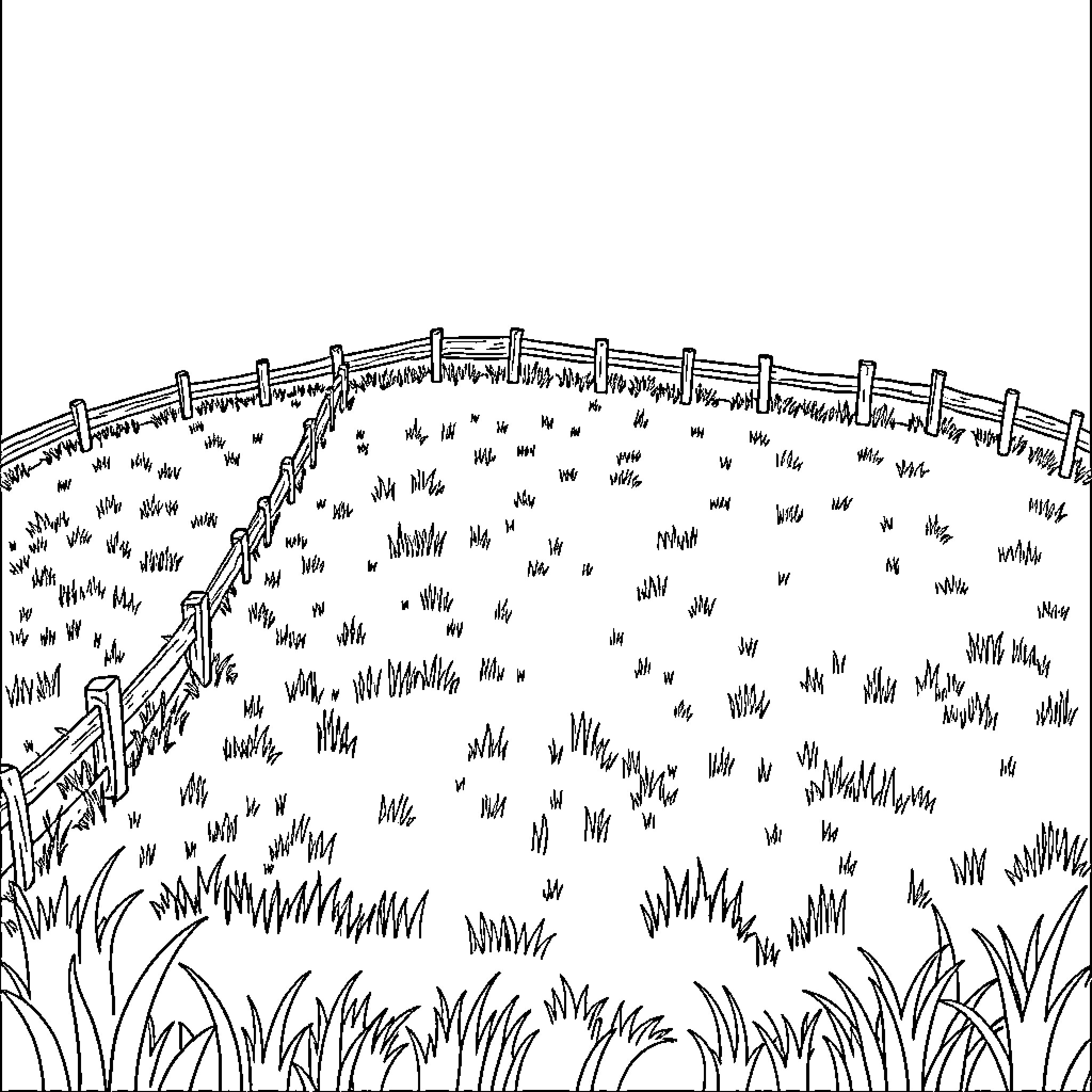 Meadow with fenced pathway and lush vegetation Coloring Page (free black-and-white line drawing printable PDF for all, from beginners to advanced learners, including children, teens, adults, and seniors)