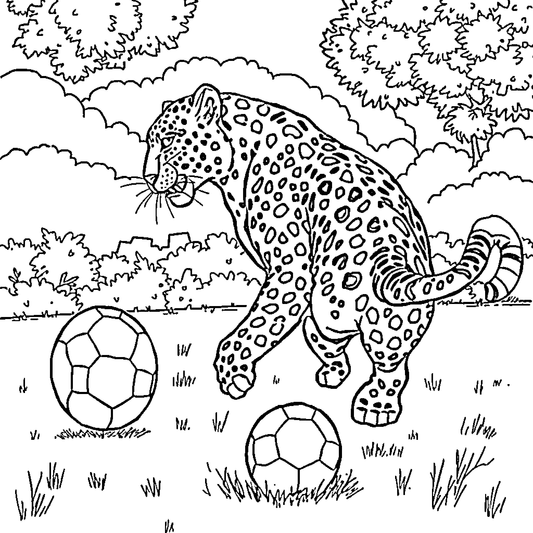 Leopard Playing with Soccer Balls in the Forest Coloring Page (free black-and-white line drawing printable PDF for all, from beginners to advanced learners, including children, teens, adults, and seniors)