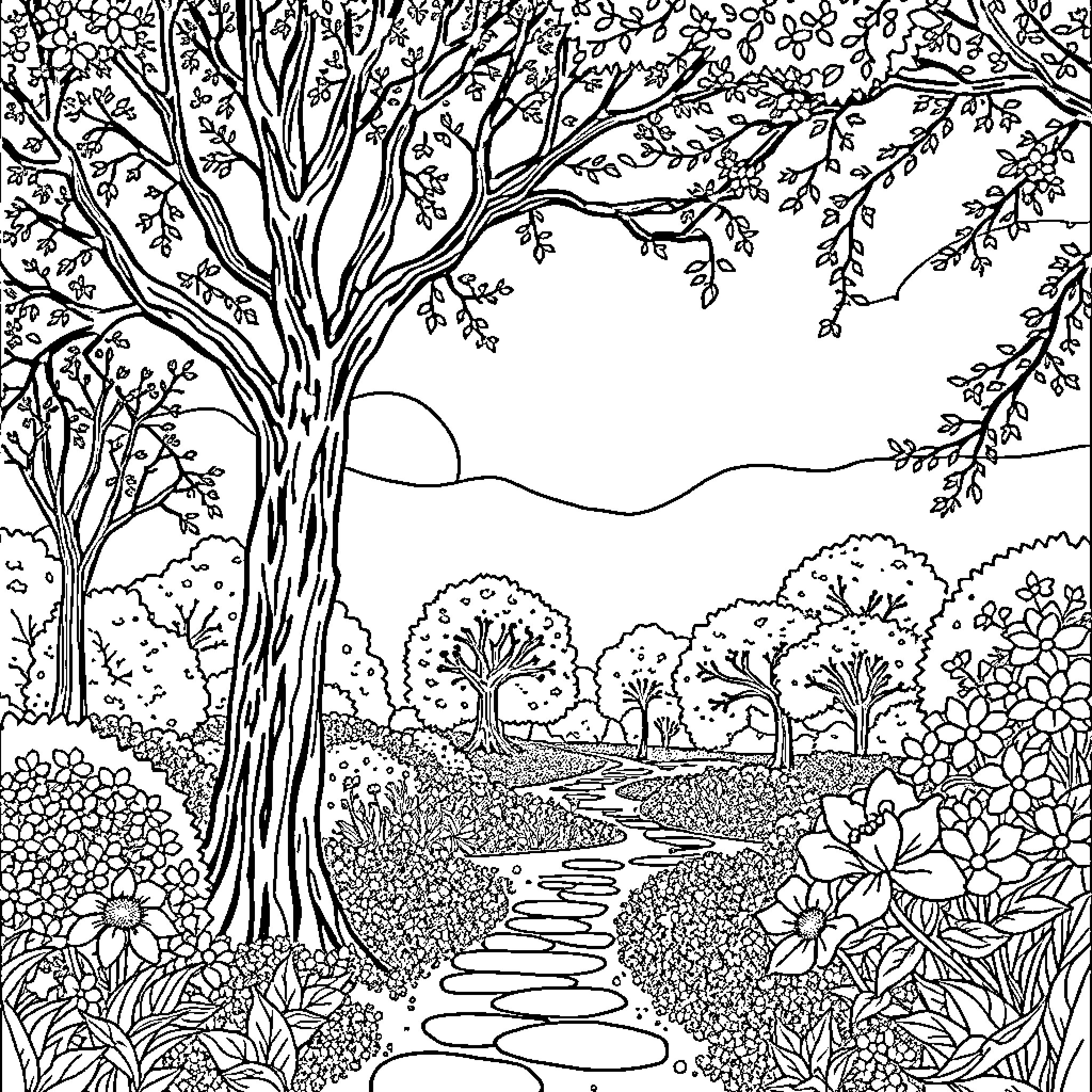 Tralalero Peaceful Forest Landscape with Winding Path Coloring Page (free black-and-white line drawing printable PDF for all, from beginners to advanced learners, including children, teens, adults, and seniors)