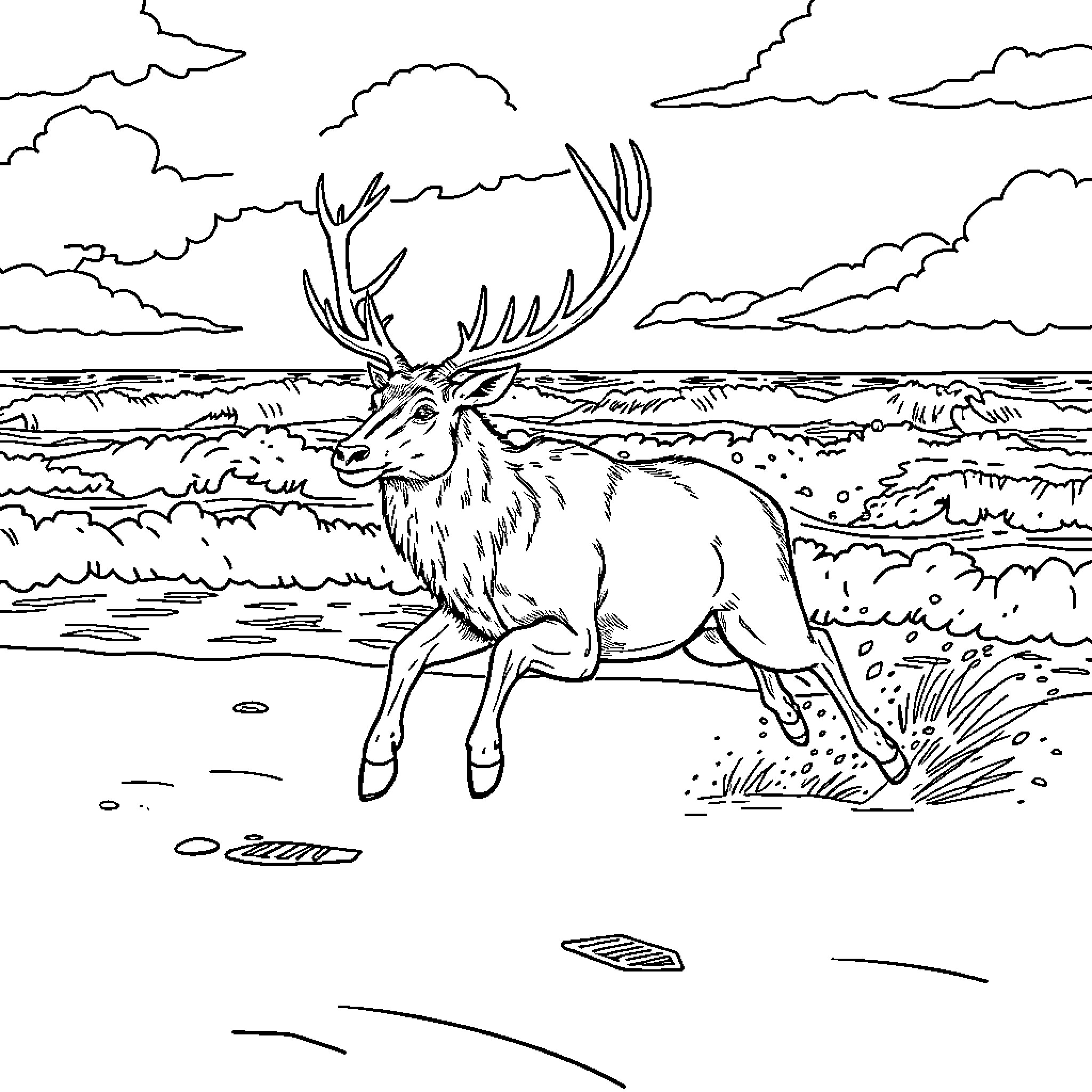 Stag in serene nature landscape Coloring Page (free black-and-white line drawing printable PDF for all, from beginners to advanced learners, including children, teens, adults, and seniors)