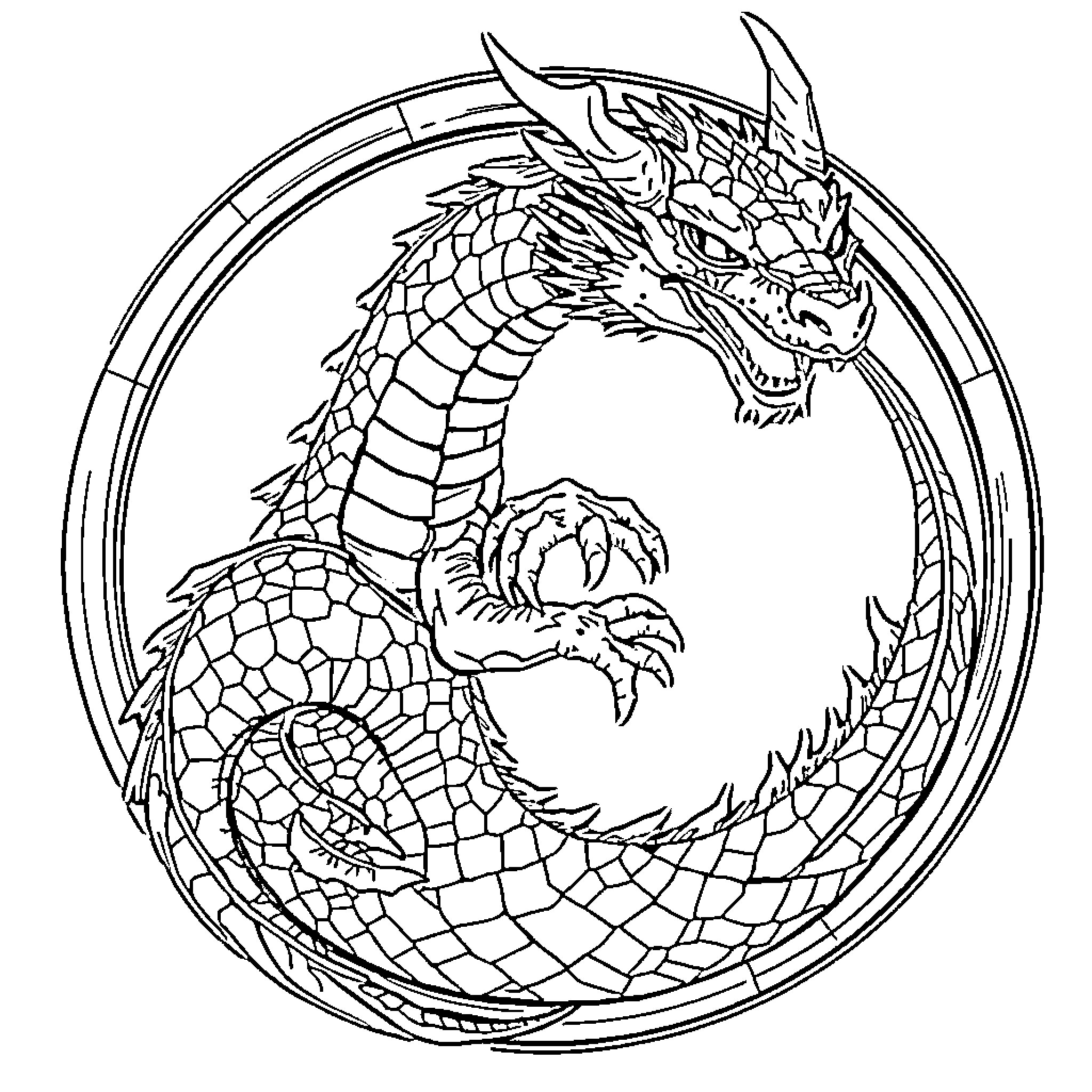 Dragon fiercely guarding its domain Coloring Page (free black-and-white line drawing printable PDF for all, from beginners to advanced learners, including children, teens, adults, and seniors)