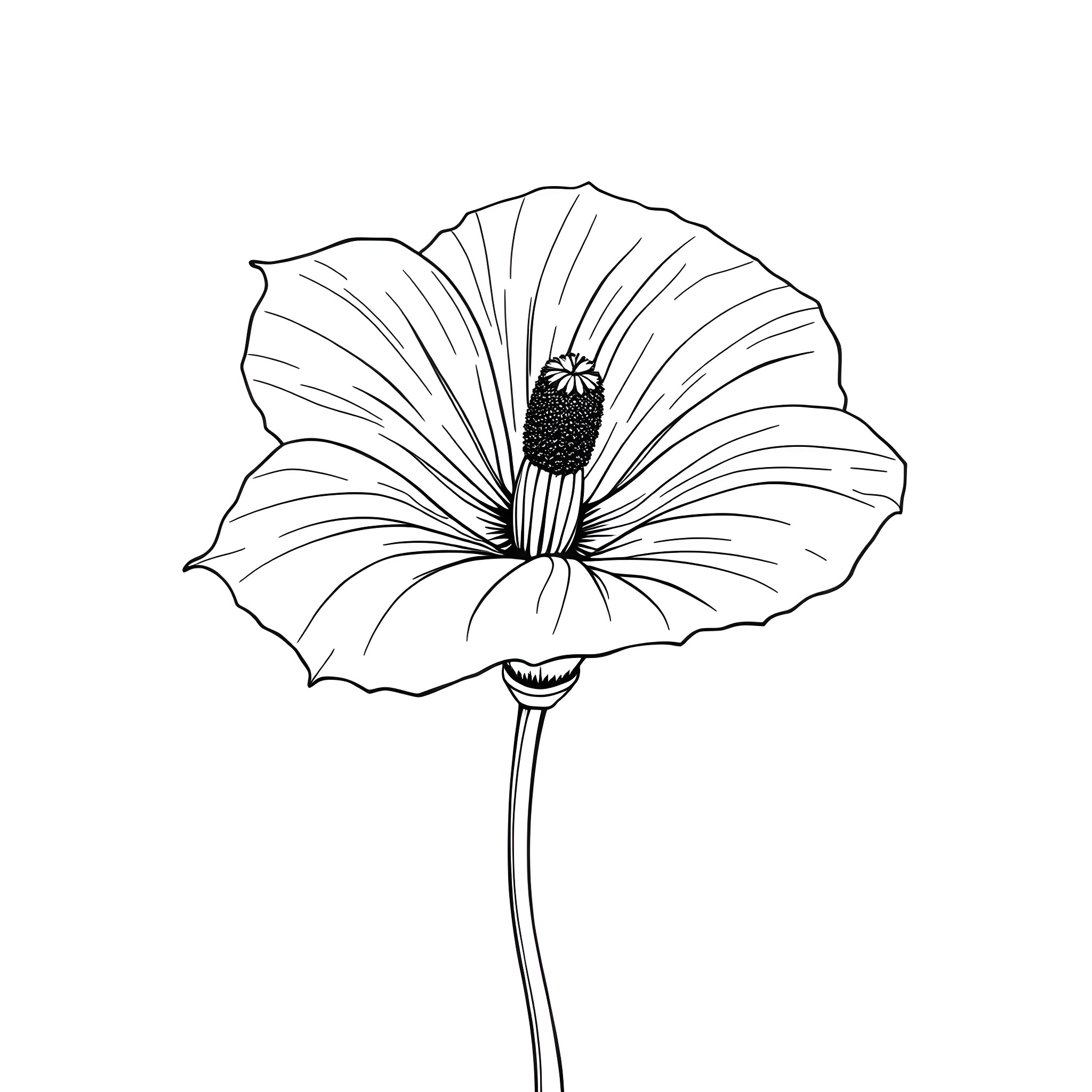 Ipomoea flower in bloom Coloring Page (free black-and-white line drawing printable PDF for all, from beginners to advanced learners, including children, teens, adults, and seniors)