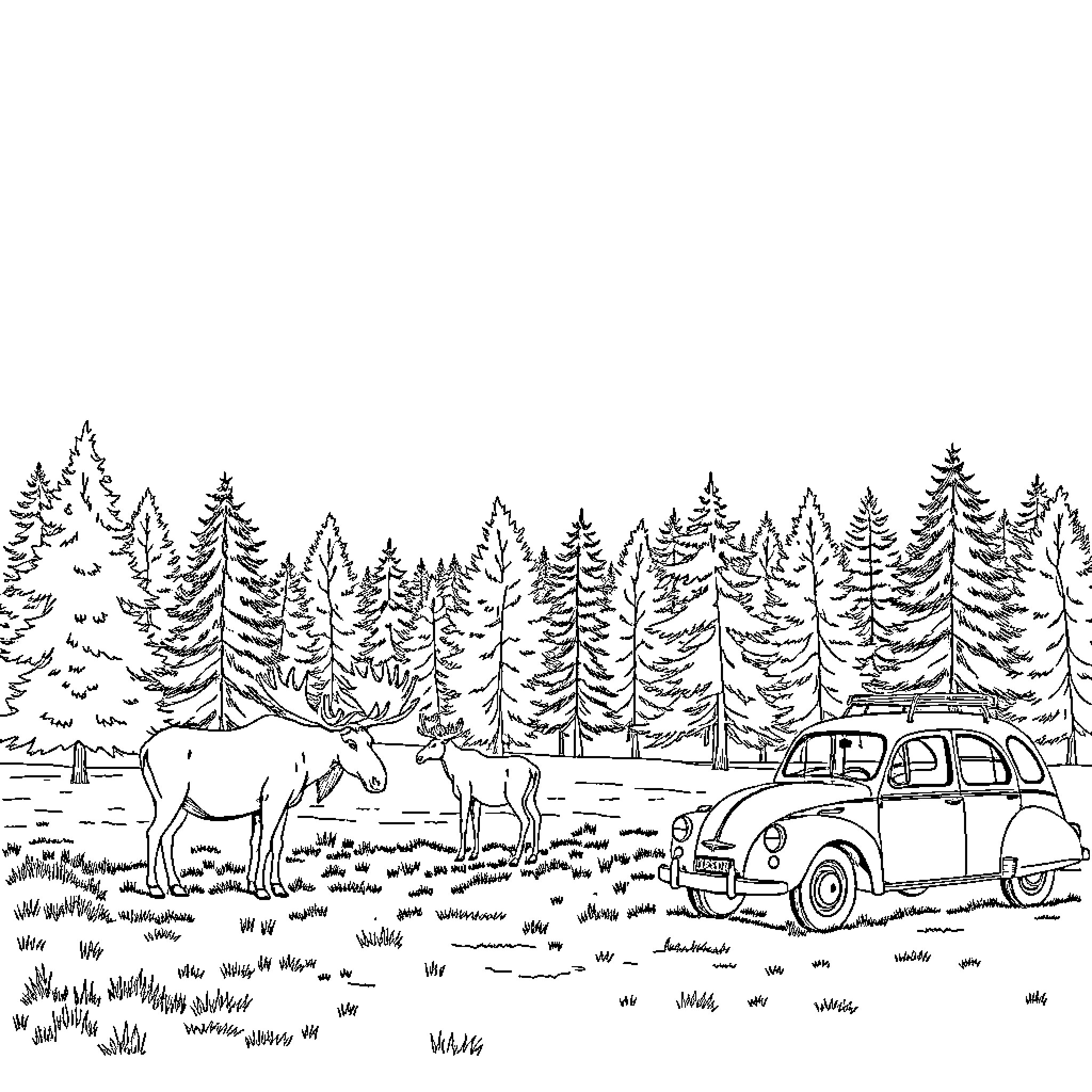 Moose grazing peacefully in the forest with vintage car Coloring Page (free black-and-white line drawing printable PDF for all, from beginners to advanced learners, including children, teens, adults, and seniors)