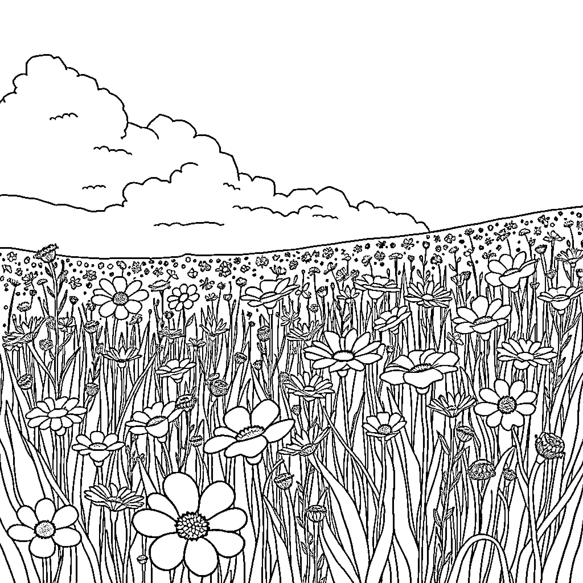 Flower field with whimsical blooms and cloudy sky Coloring Page (free black-and-white line drawing printable PDF for all, from beginners to advanced learners, including children, teens, adults, and seniors)