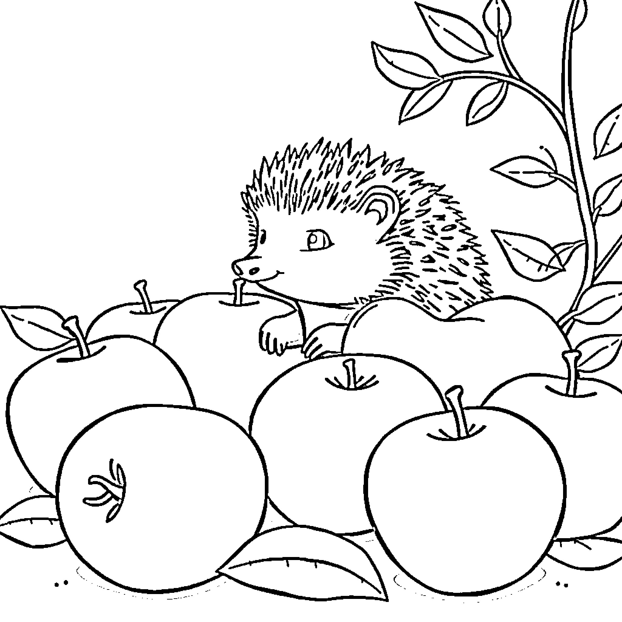 Hedgehog exploring apples in nature Coloring Page (free black-and-white line drawing printable PDF for all, from beginners to advanced learners, including children, teens, adults, and seniors)