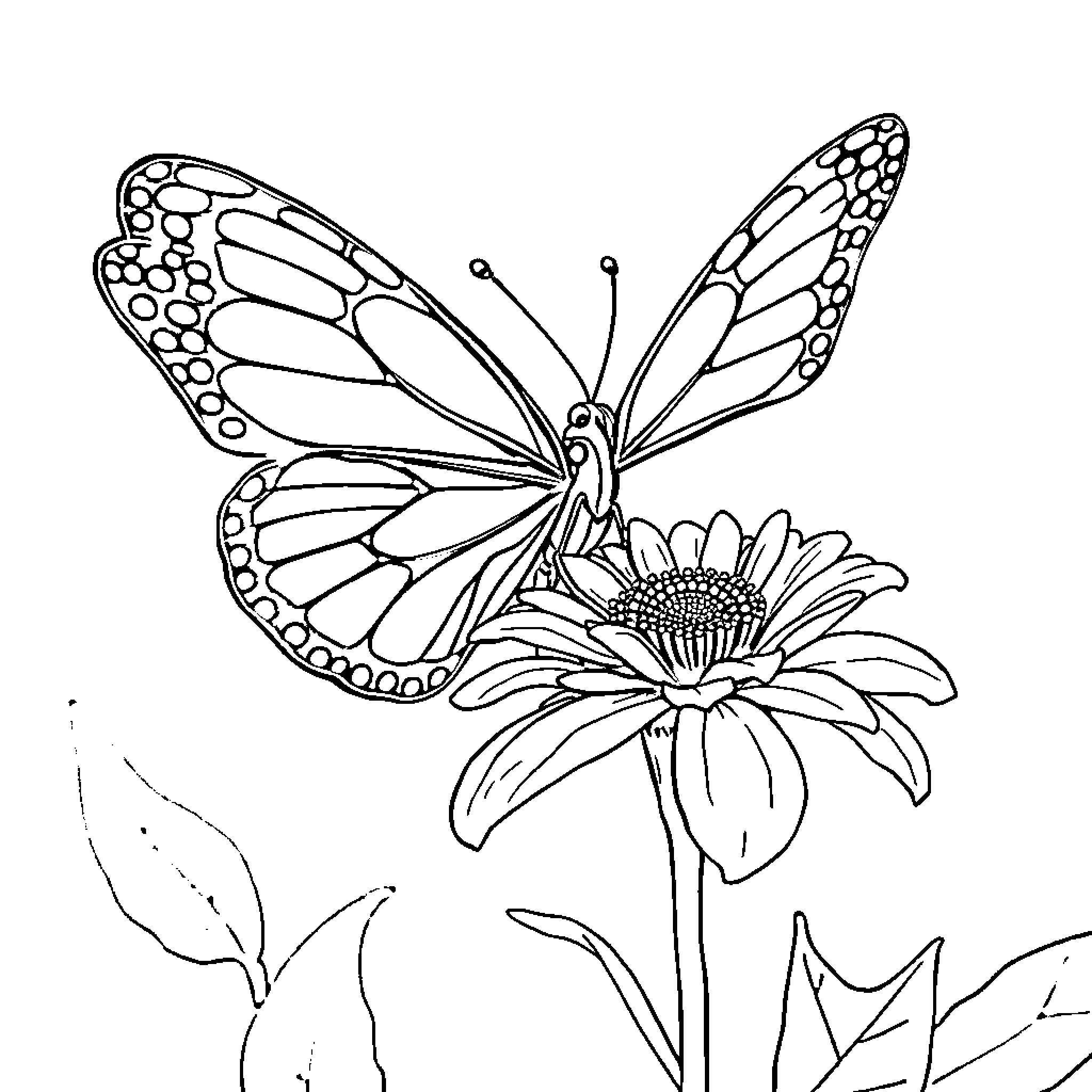 Butterfly resting on vibrant flower Coloring Page (free black-and-white line drawing printable PDF for all, from beginners to advanced learners, including children, teens, adults, and seniors)