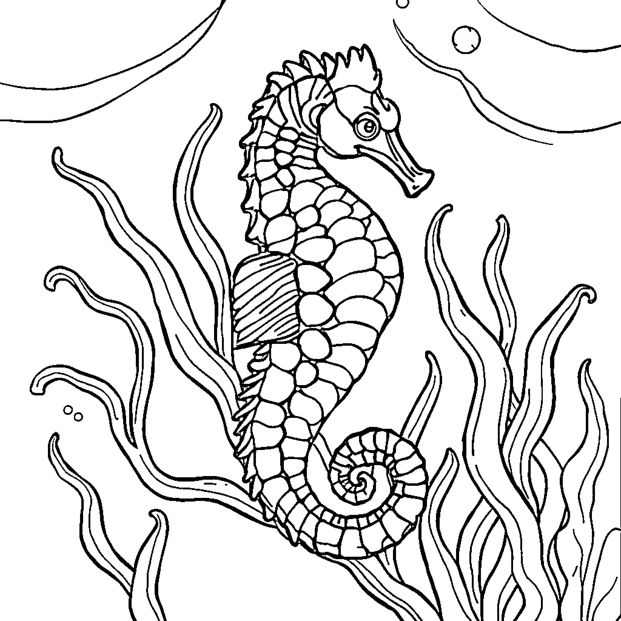 Seahorse swimming gracefully through the underwater scene Coloring Page (free black-and-white line drawing printable PDF for all, from beginners to advanced learners, including children, teens, adults, and seniors)