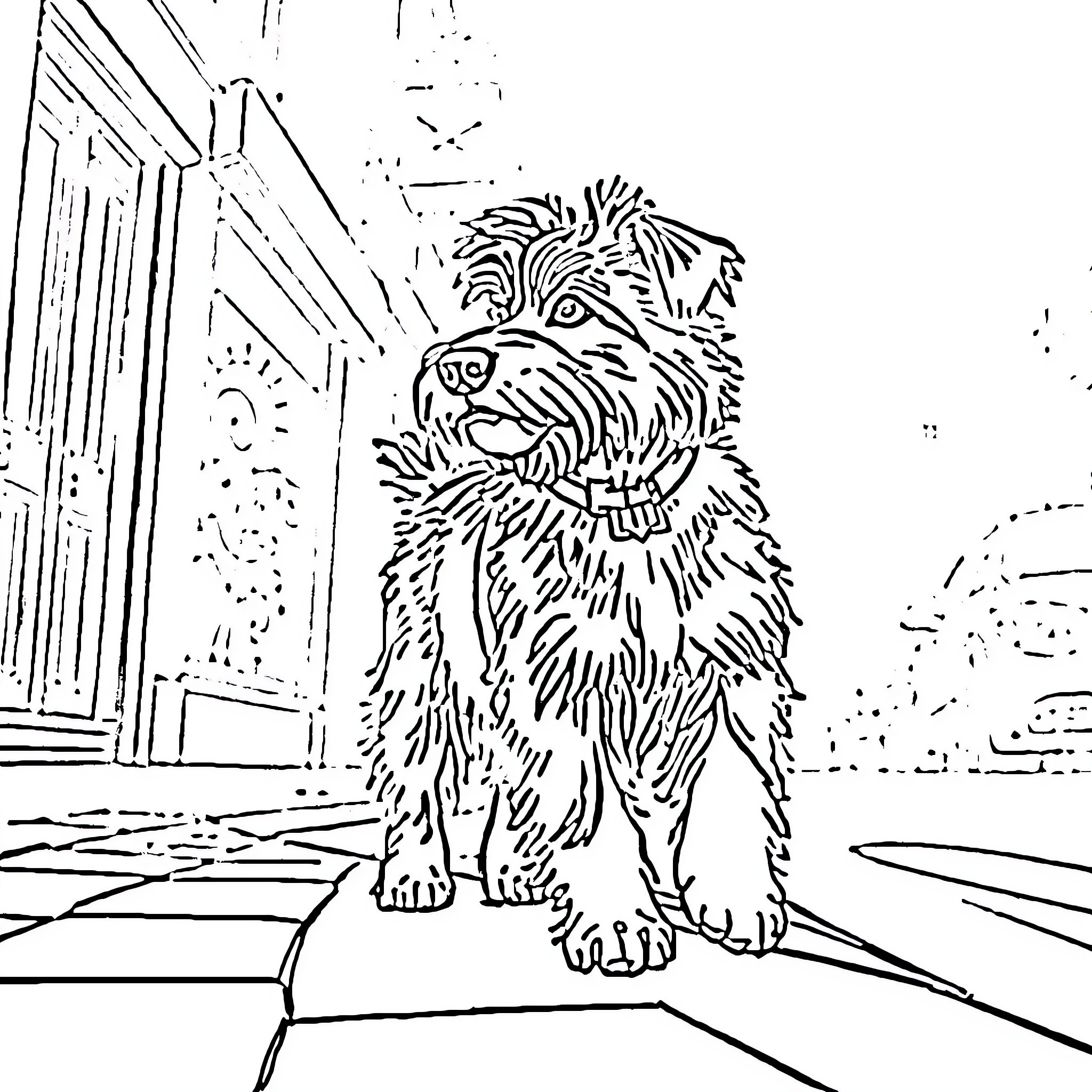 Shetland Dog Sitting on Wooden Porch Coloring Page (free black-and-white line drawing printable PDF for all, from beginners to advanced learners, including children, teens, adults, and seniors)