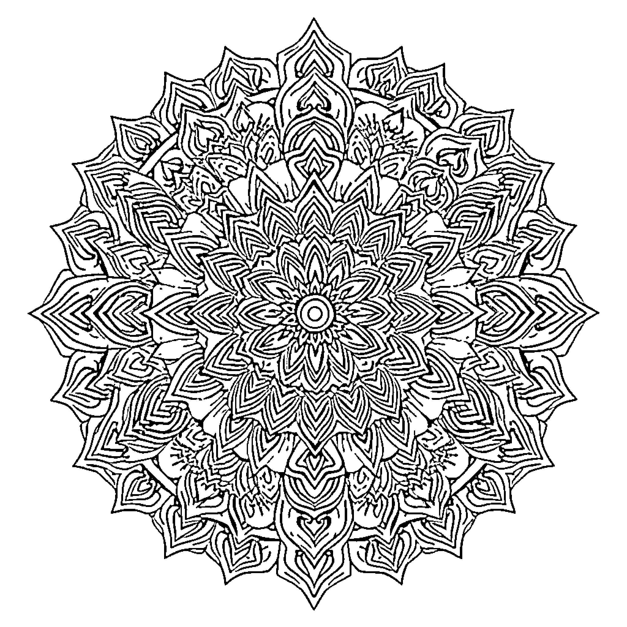 Dragofeu Mandala Doodle Art Coloring Page (free black-and-white line drawing printable PDF for all, from beginners to advanced learners, including children, teens, adults, and seniors)