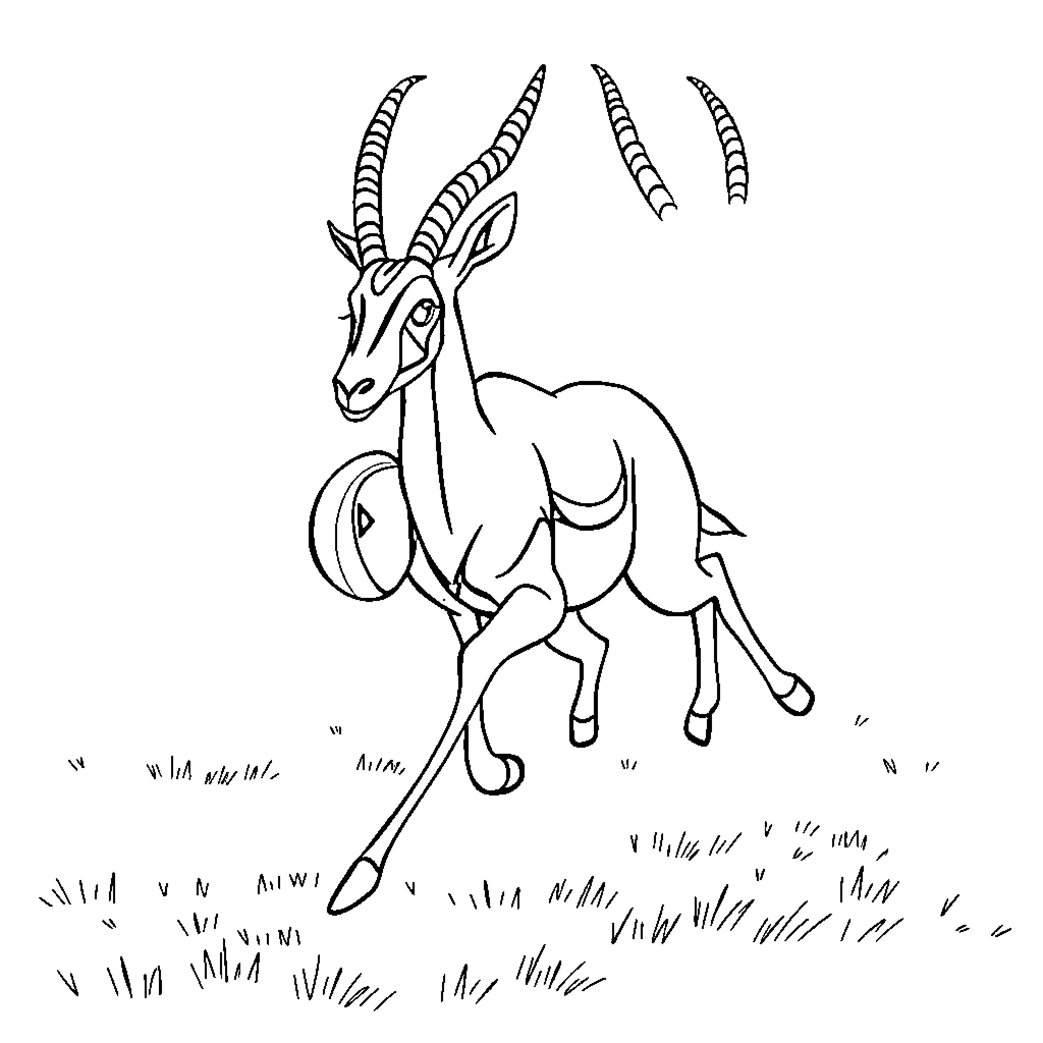 Springbok running gracefully through the grass Coloring Page (free black-and-white line drawing printable PDF for all, from beginners to advanced learners, including children, teens, adults, and seniors)