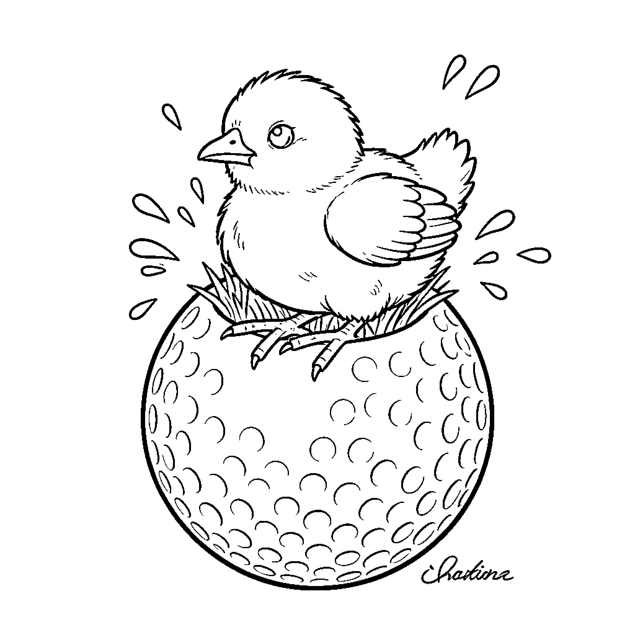 Chick hatching from golf ball Coloring Page (free black-and-white line drawing printable PDF for all, from beginners to advanced learners, including children, teens, adults, and seniors)