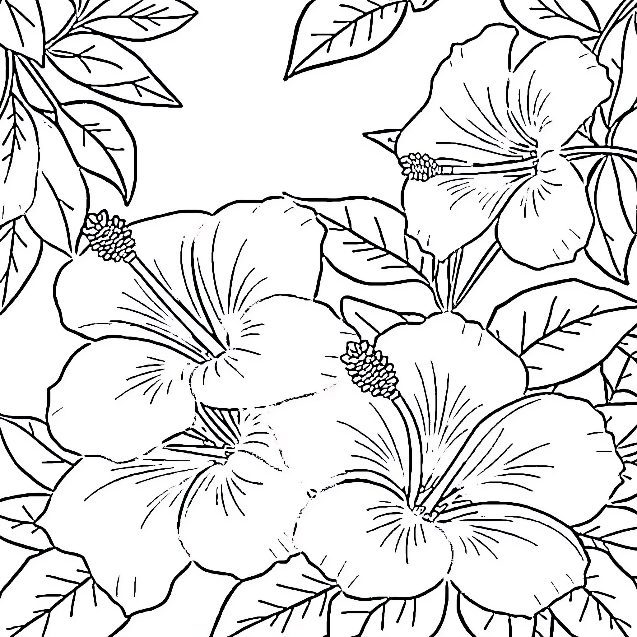 Hibiscus flowers blooming in a tropical setting Coloring Page (free black-and-white line drawing printable PDF for all, from beginners to advanced learners, including children, teens, adults, and seniors)