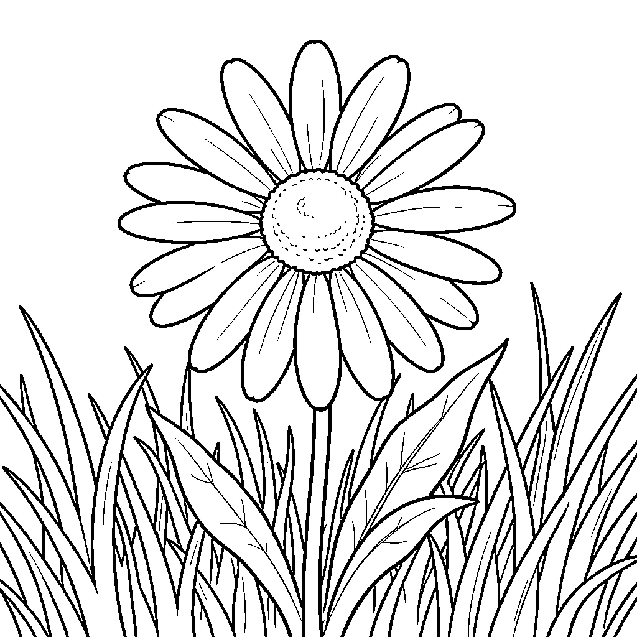 Daisy Flower Blooming in the Grass Coloring Page (free black-and-white line drawing printable PDF for all, from beginners to advanced learners, including children, teens, adults, and seniors)